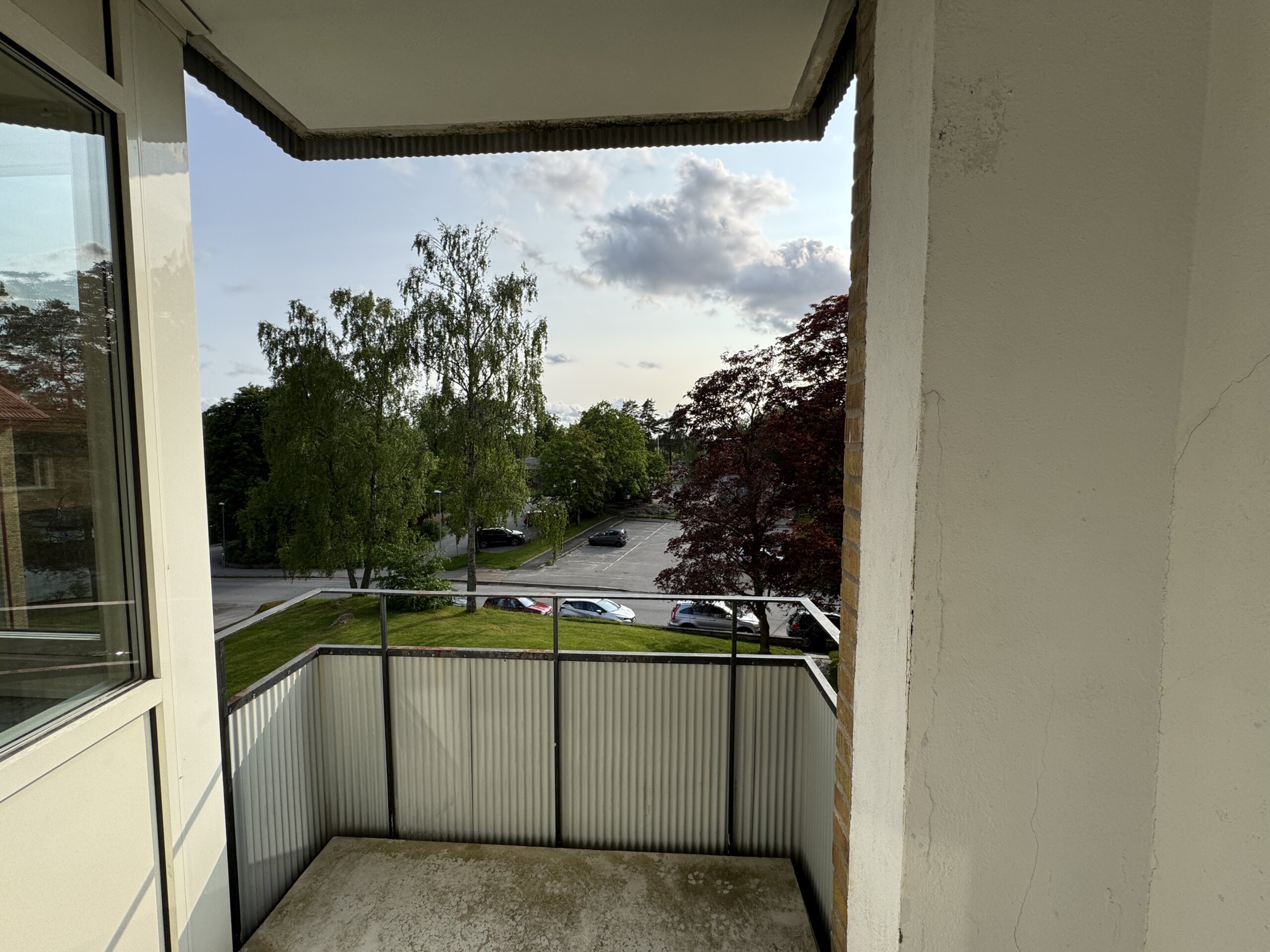 IMG_0129