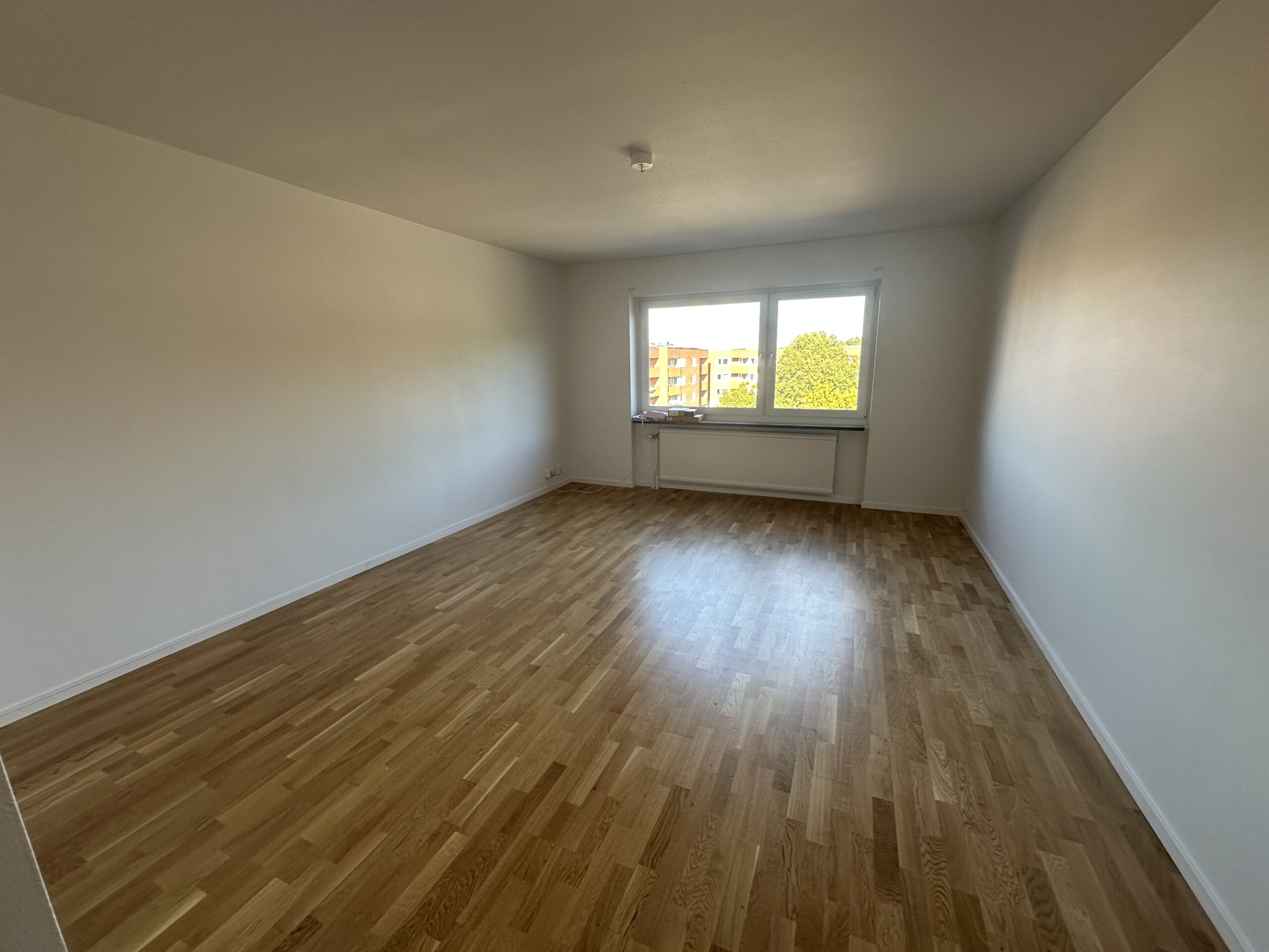 20251002_100112959_iOS