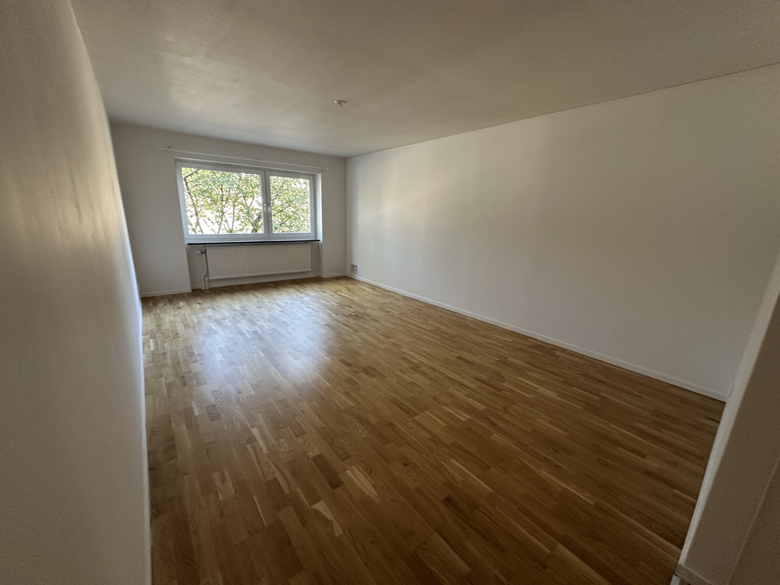 20251002_094654775_iOS