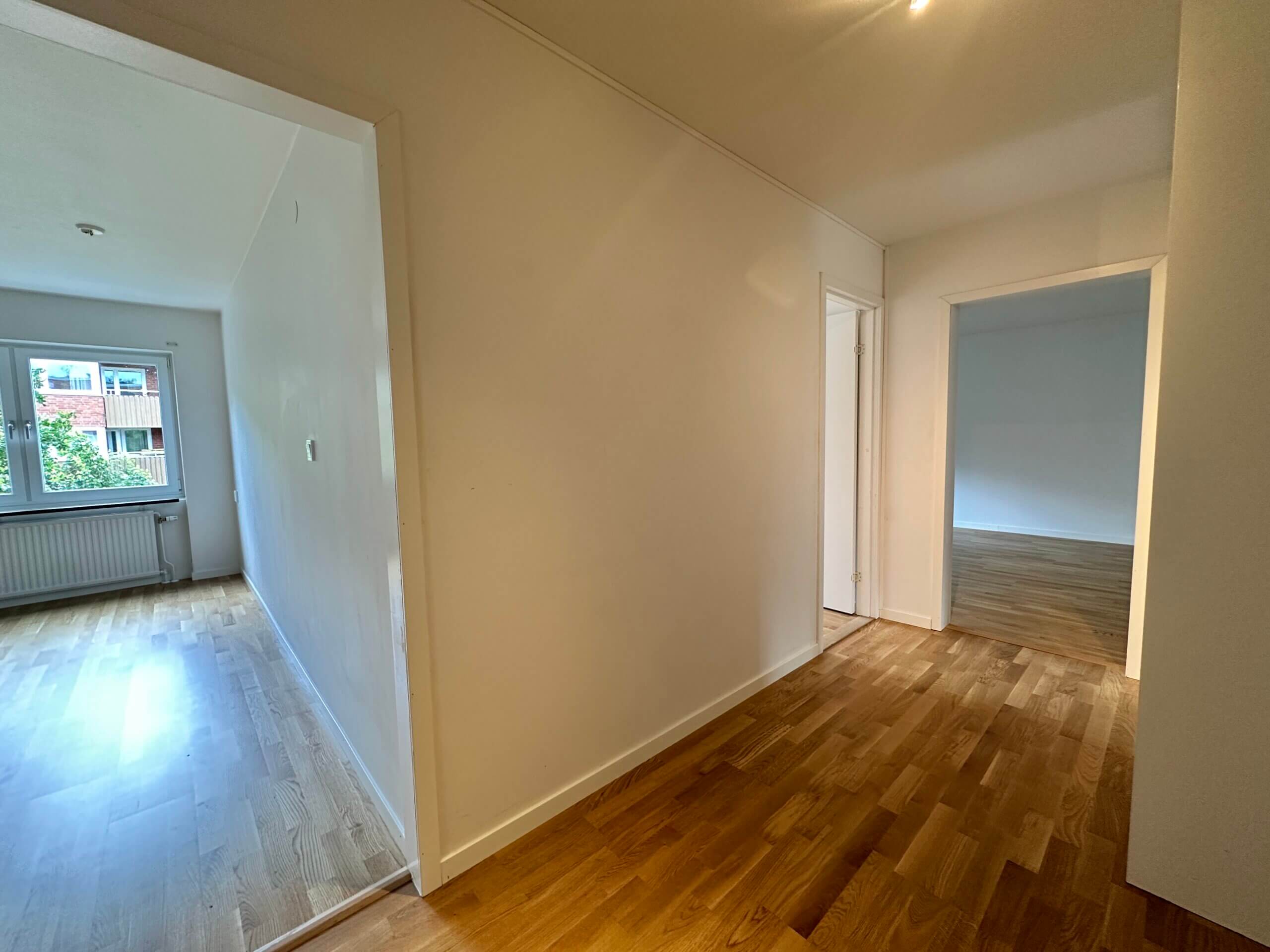 20250806_085648558_iOS