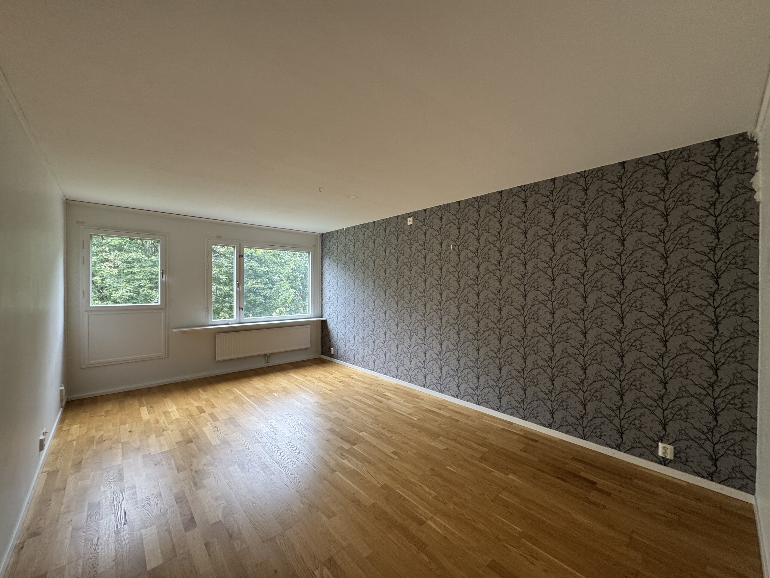 20250918_120500200_iOS