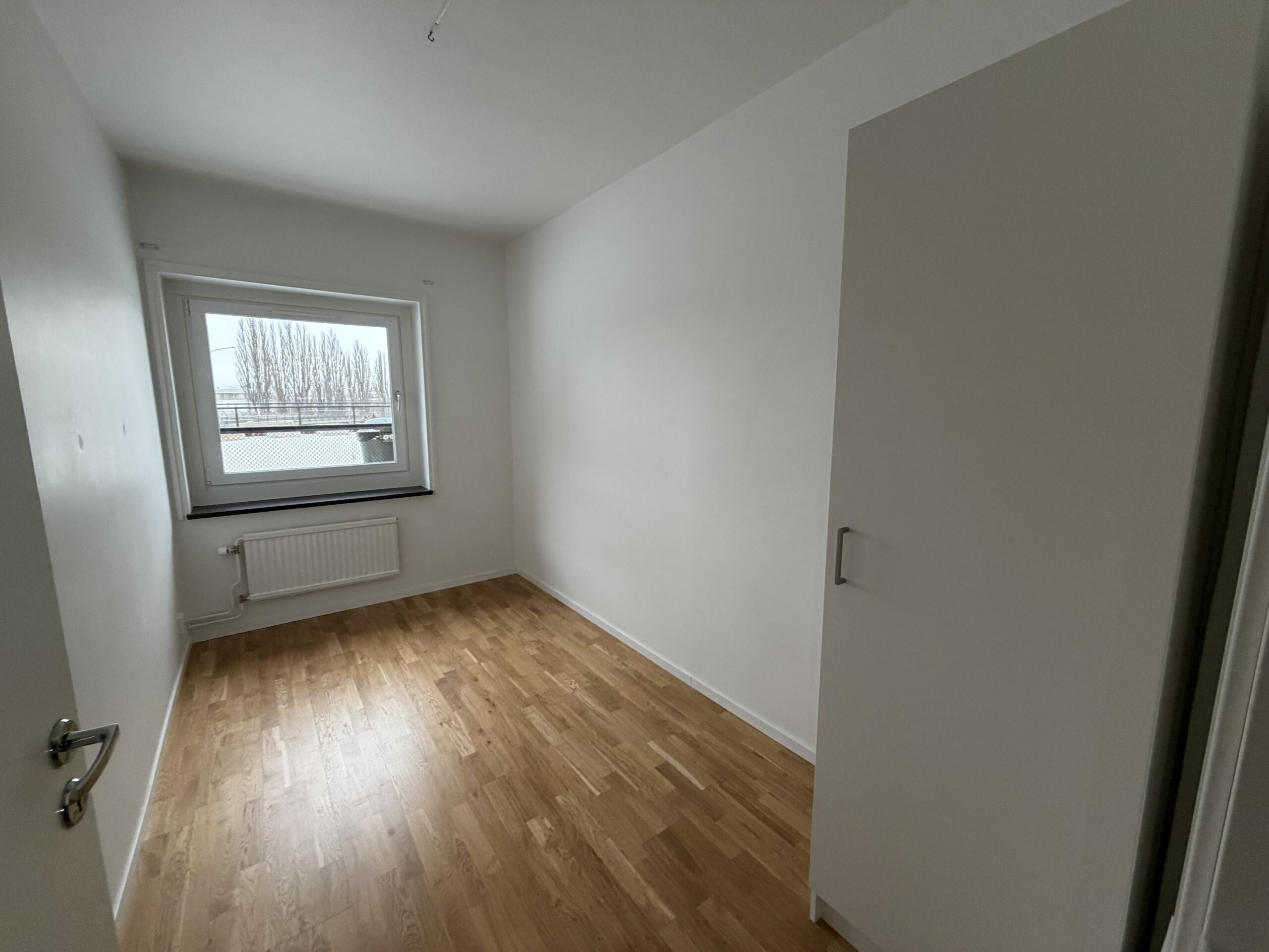 20260206_111717607_iOS