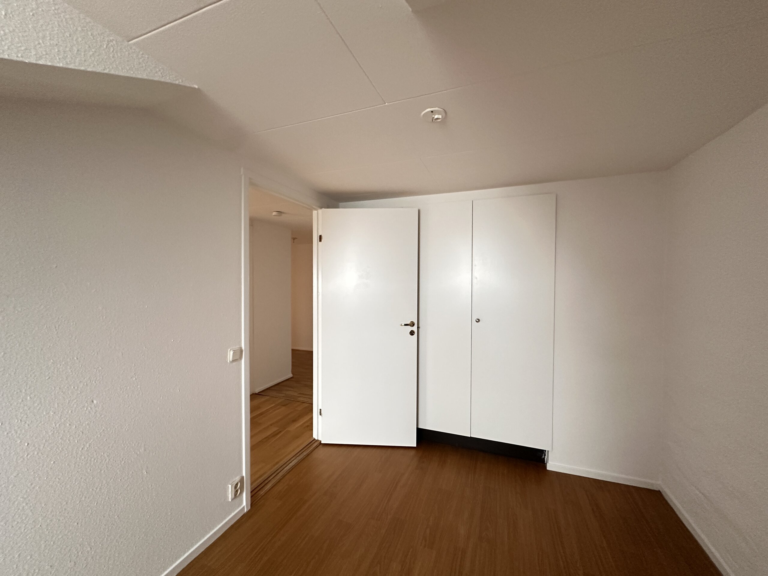 20260209_115738186_iOS