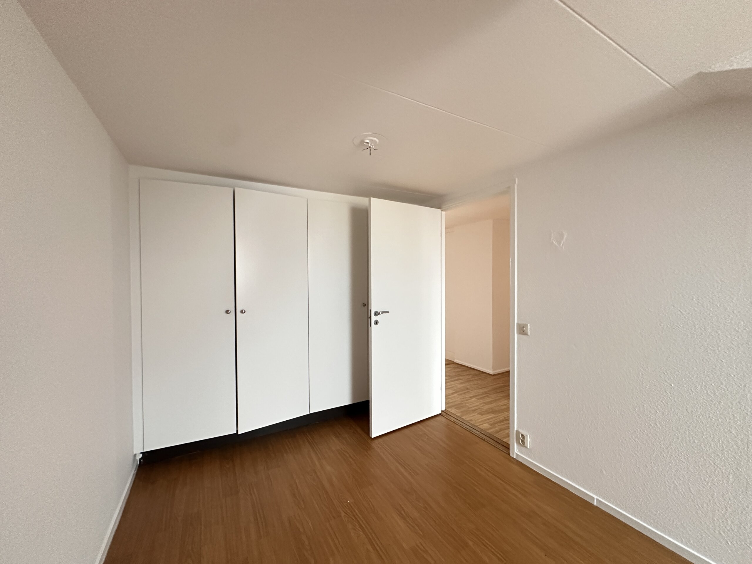 20260209_115800711_iOS