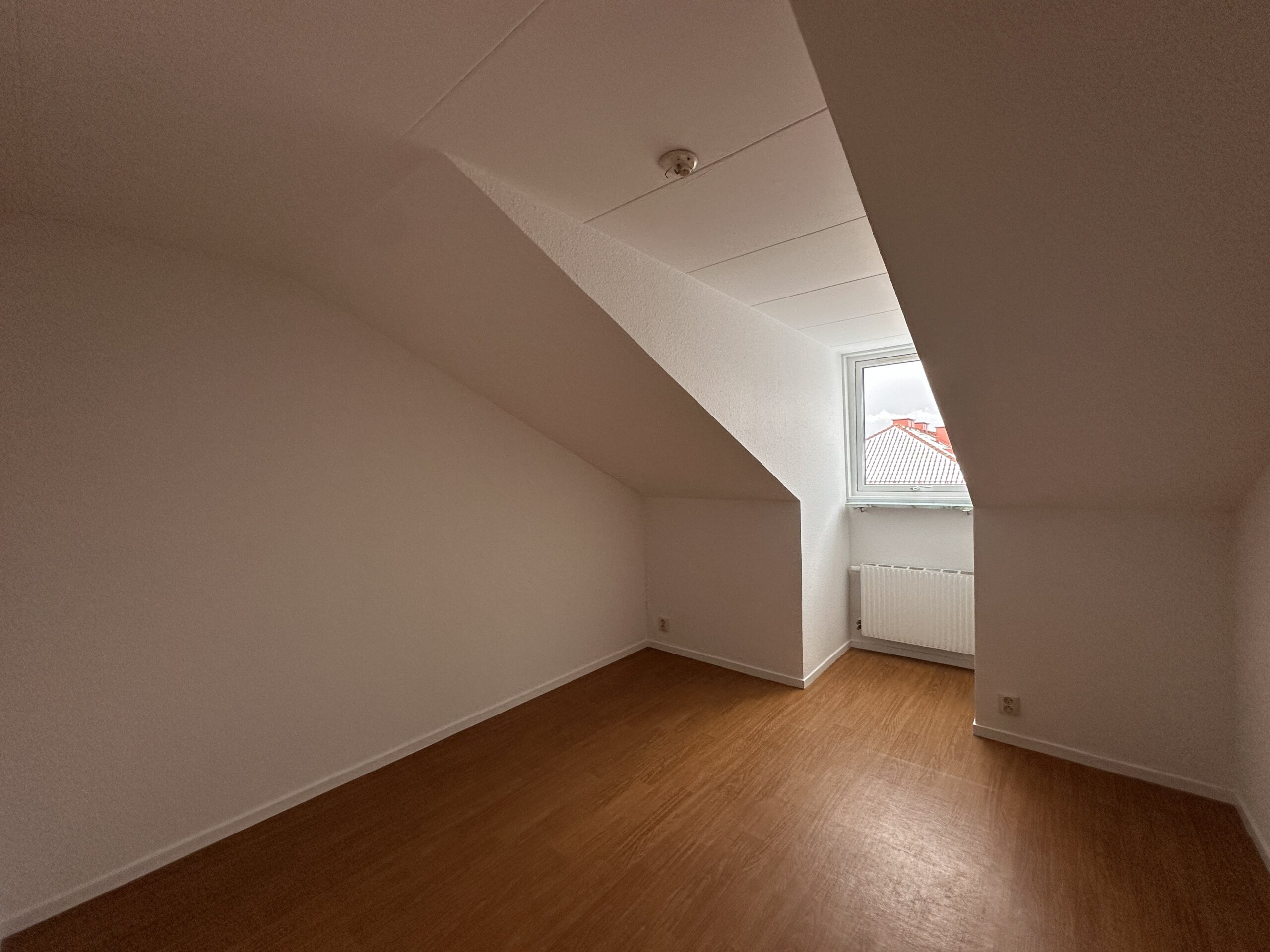 20260209_115812837_iOS