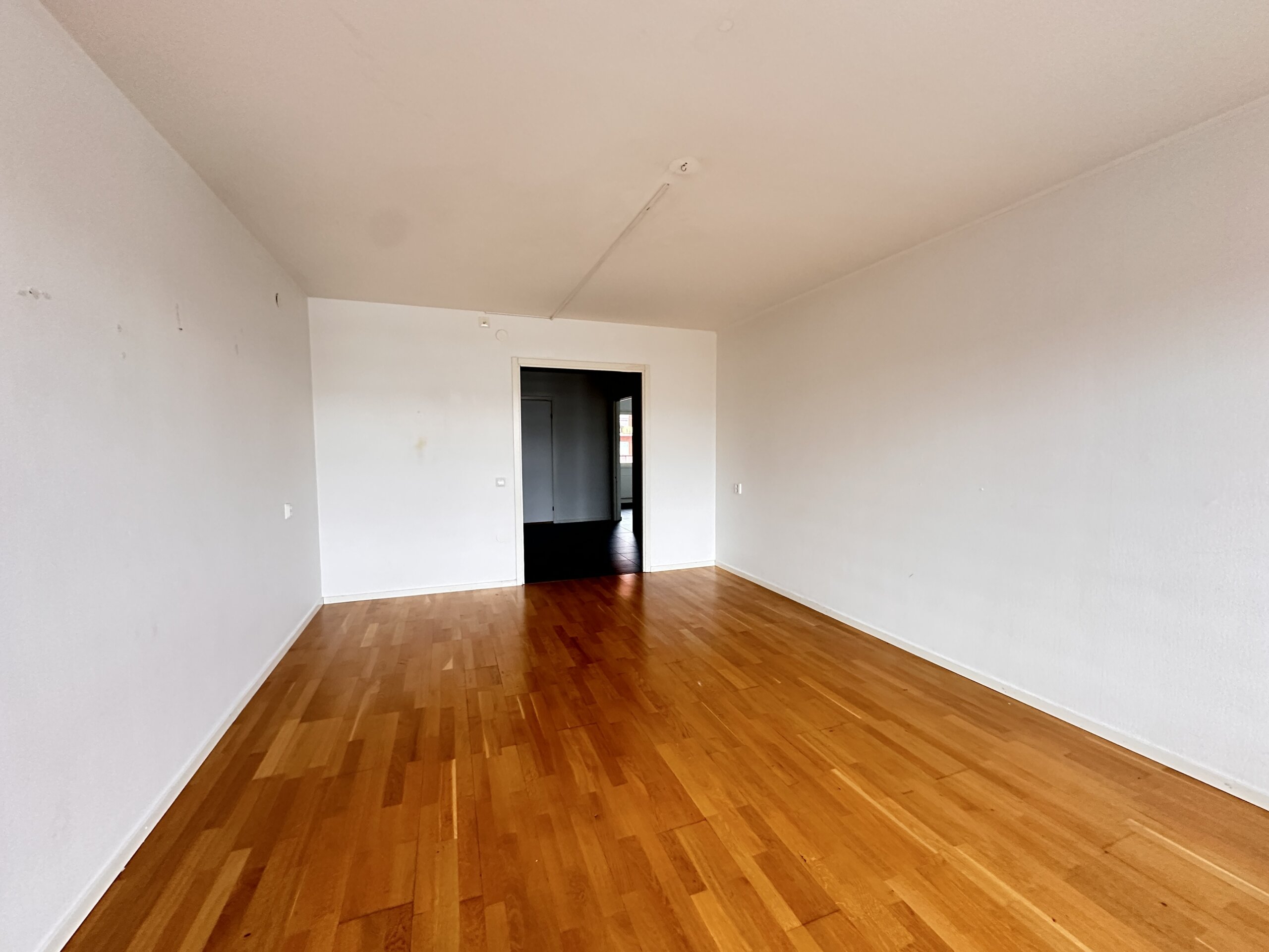 20260218_105316294_iOS