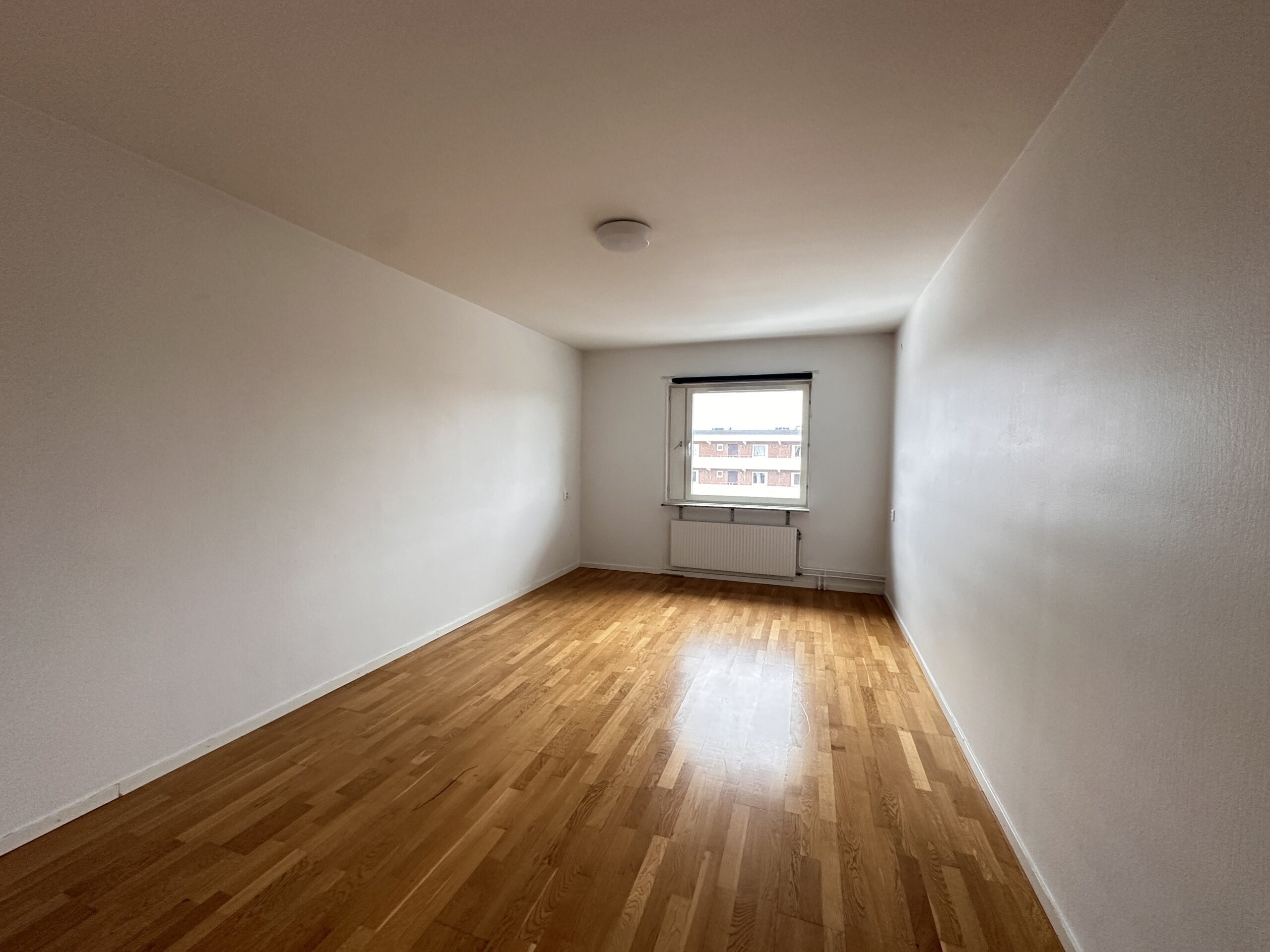 20260218_105326349_iOS