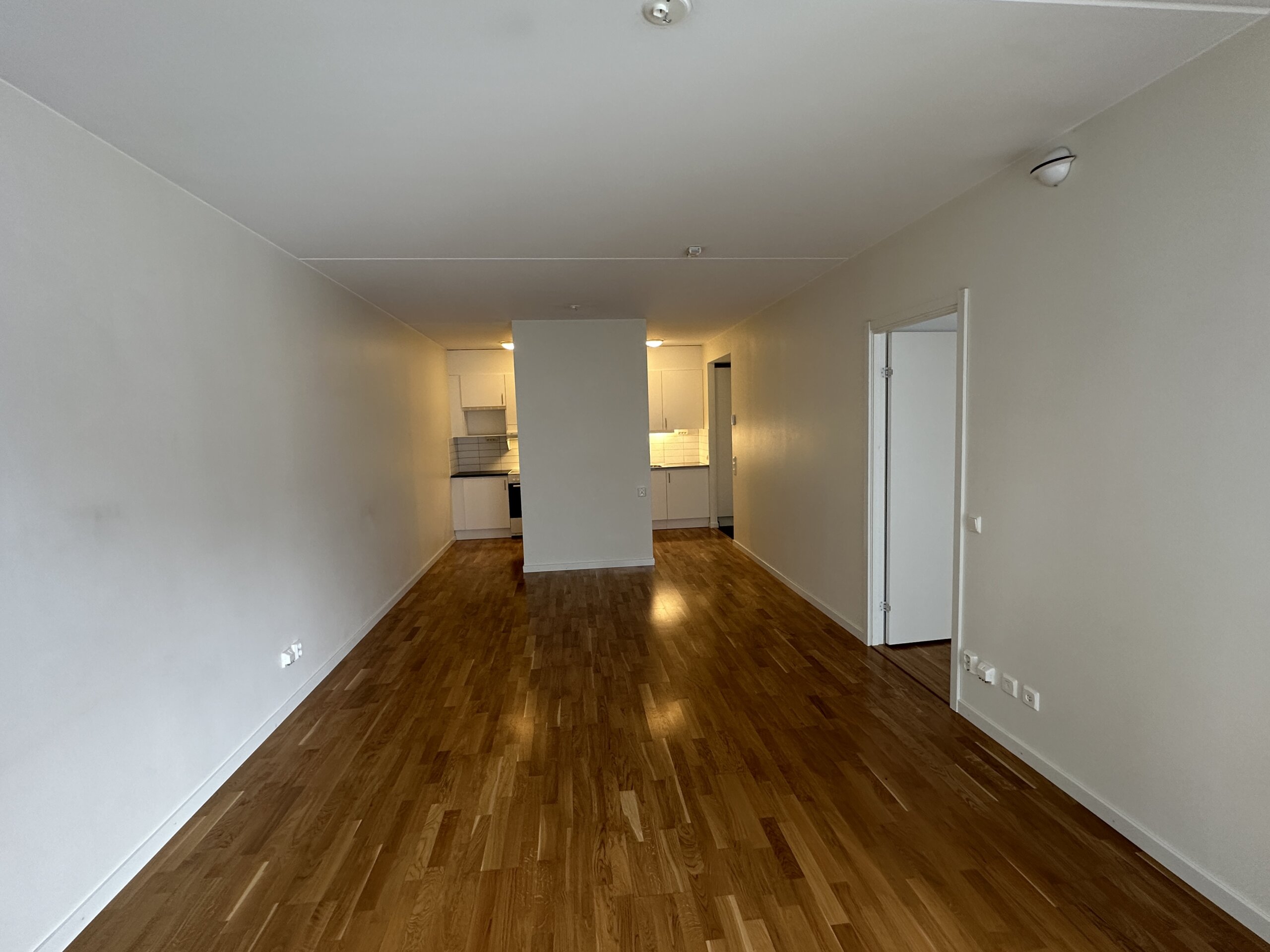 IMG_0359