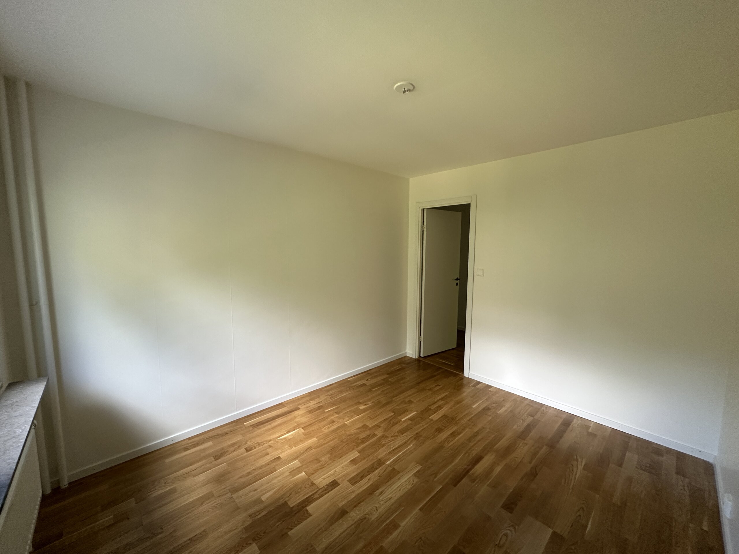 IMG_3441