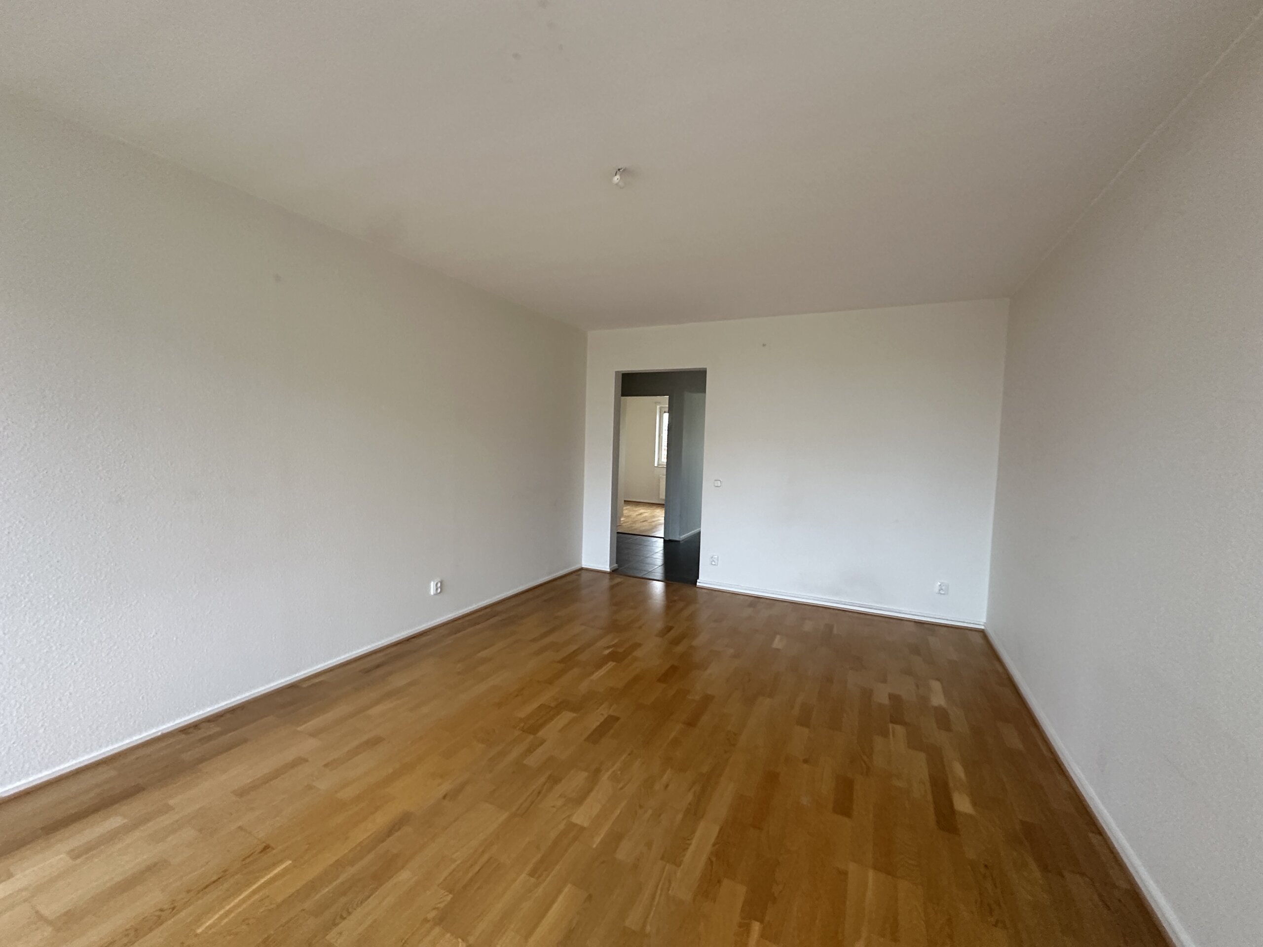 20260302_155725114_iOS