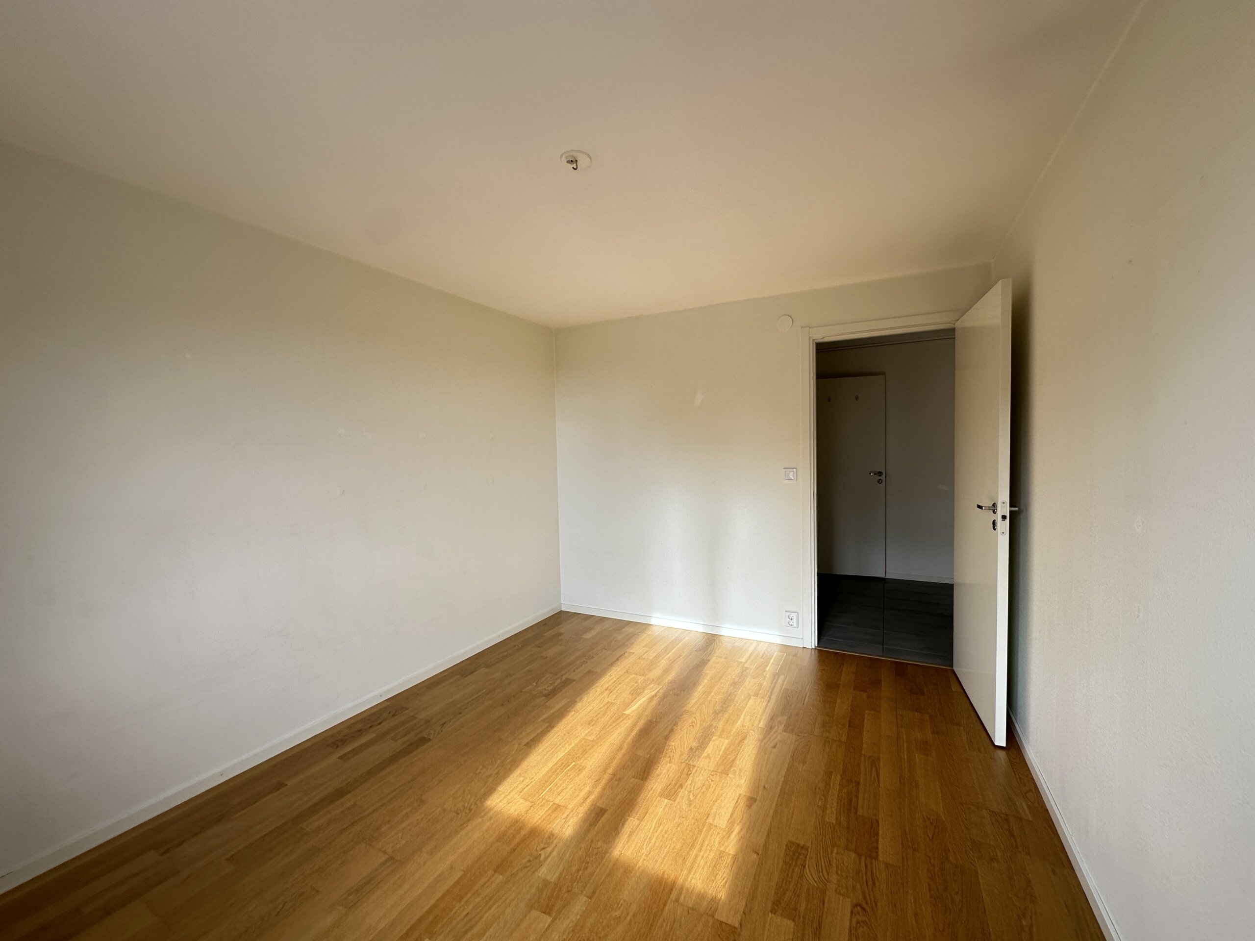 20260304_124004798_iOS