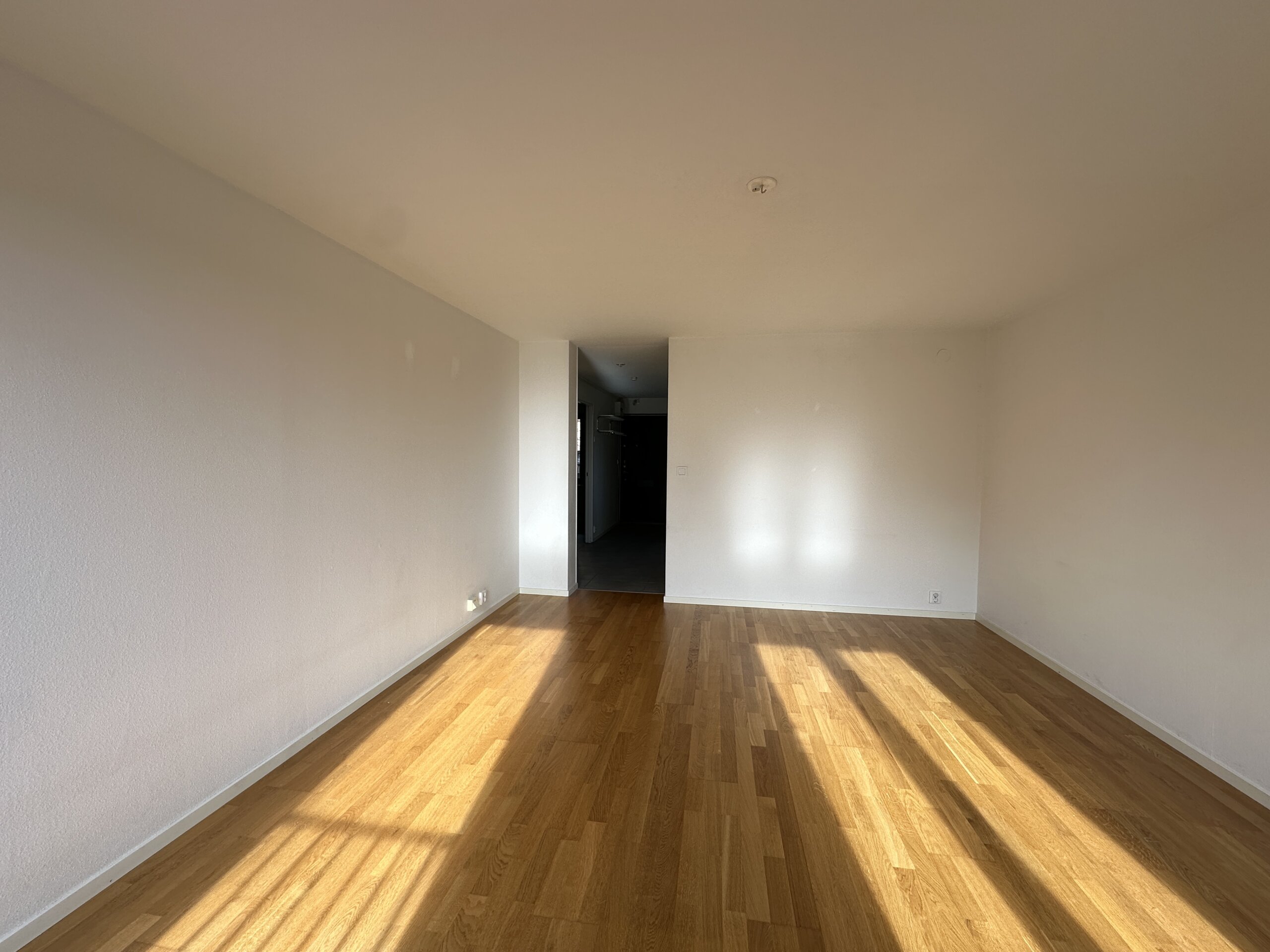 20260304_124022290_iOS