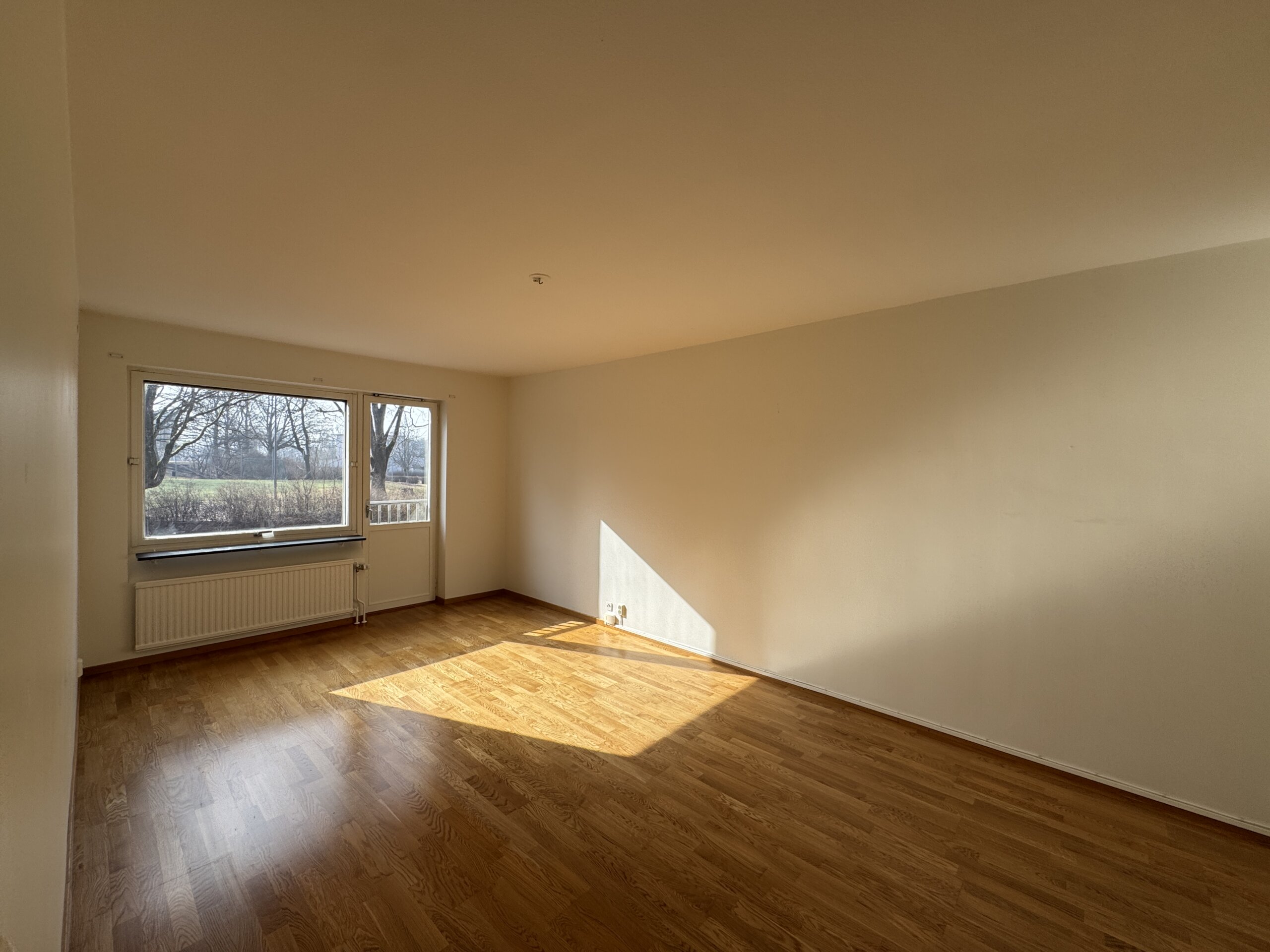 20260309_110537639_iOS