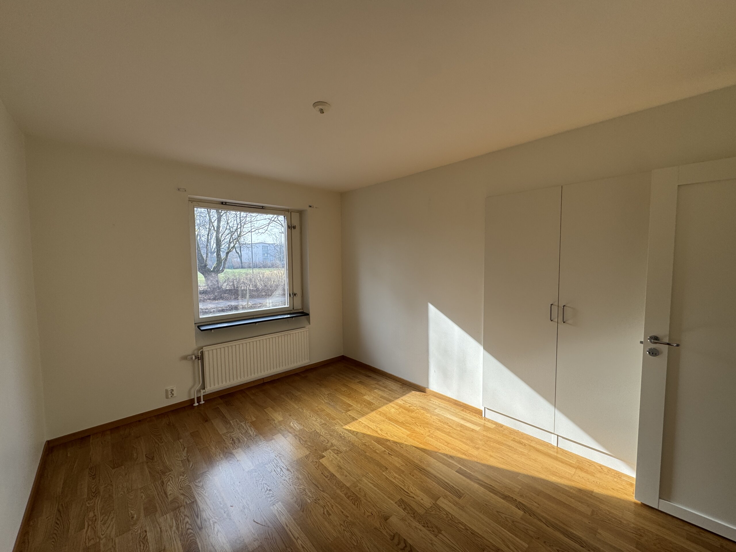 20260309_110558411_iOS