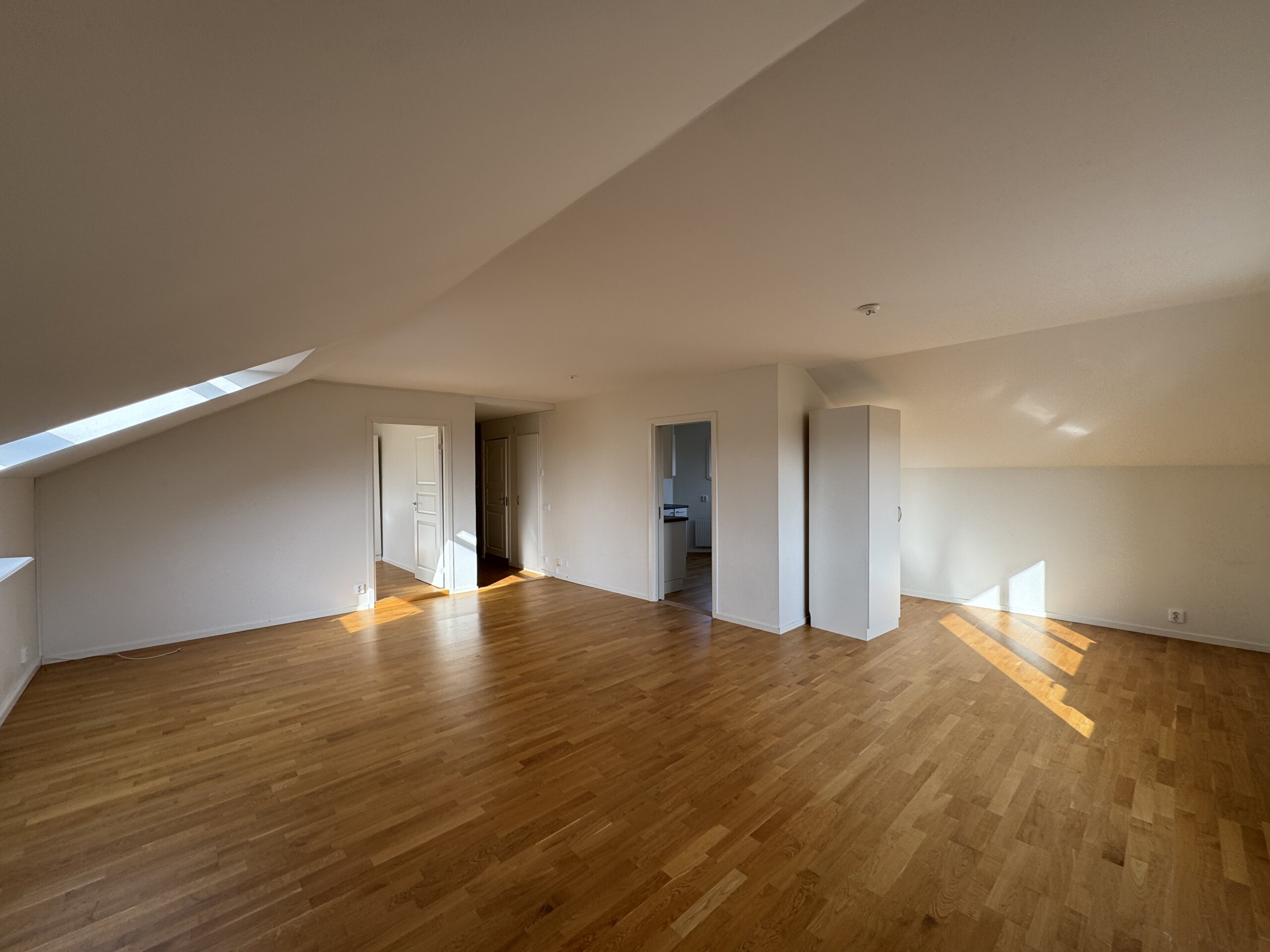 20260309_124952644_iOS