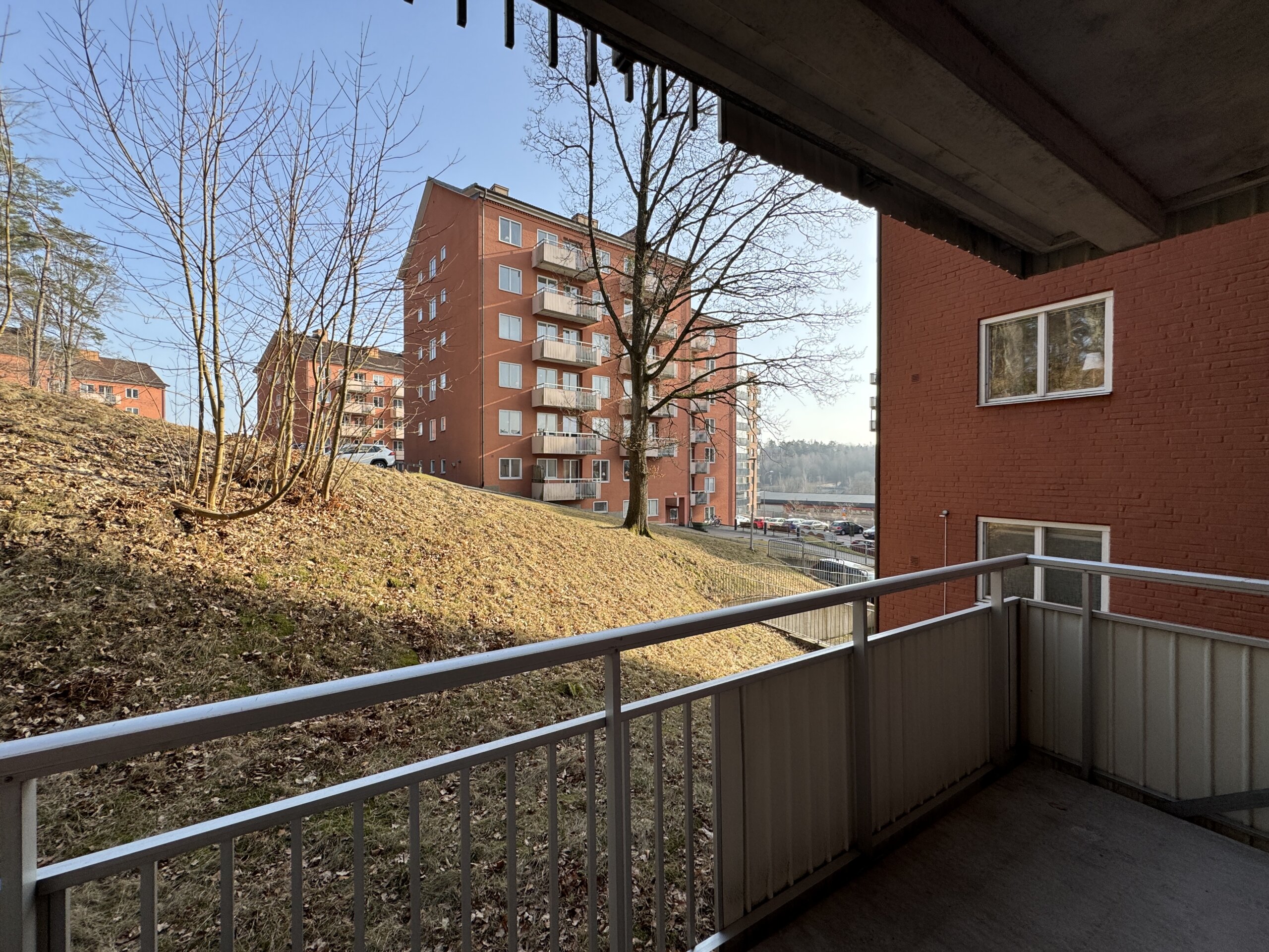 20260309_133256200_iOS