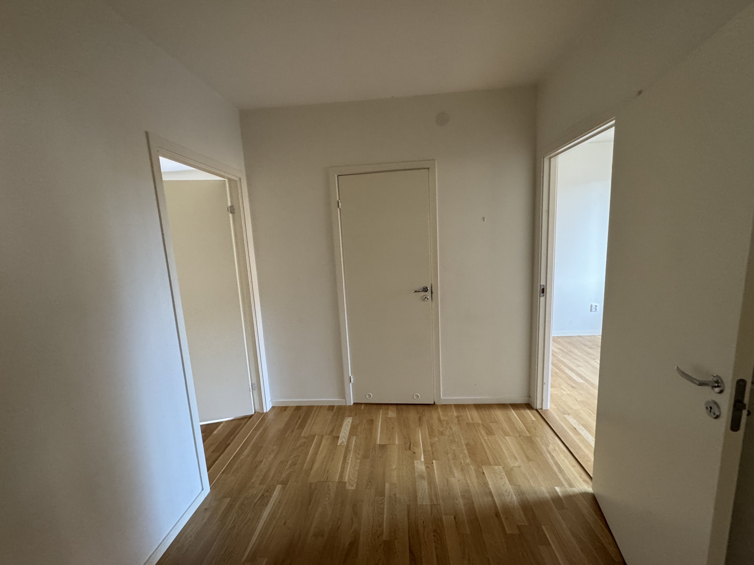 20260309_133329530_iOS