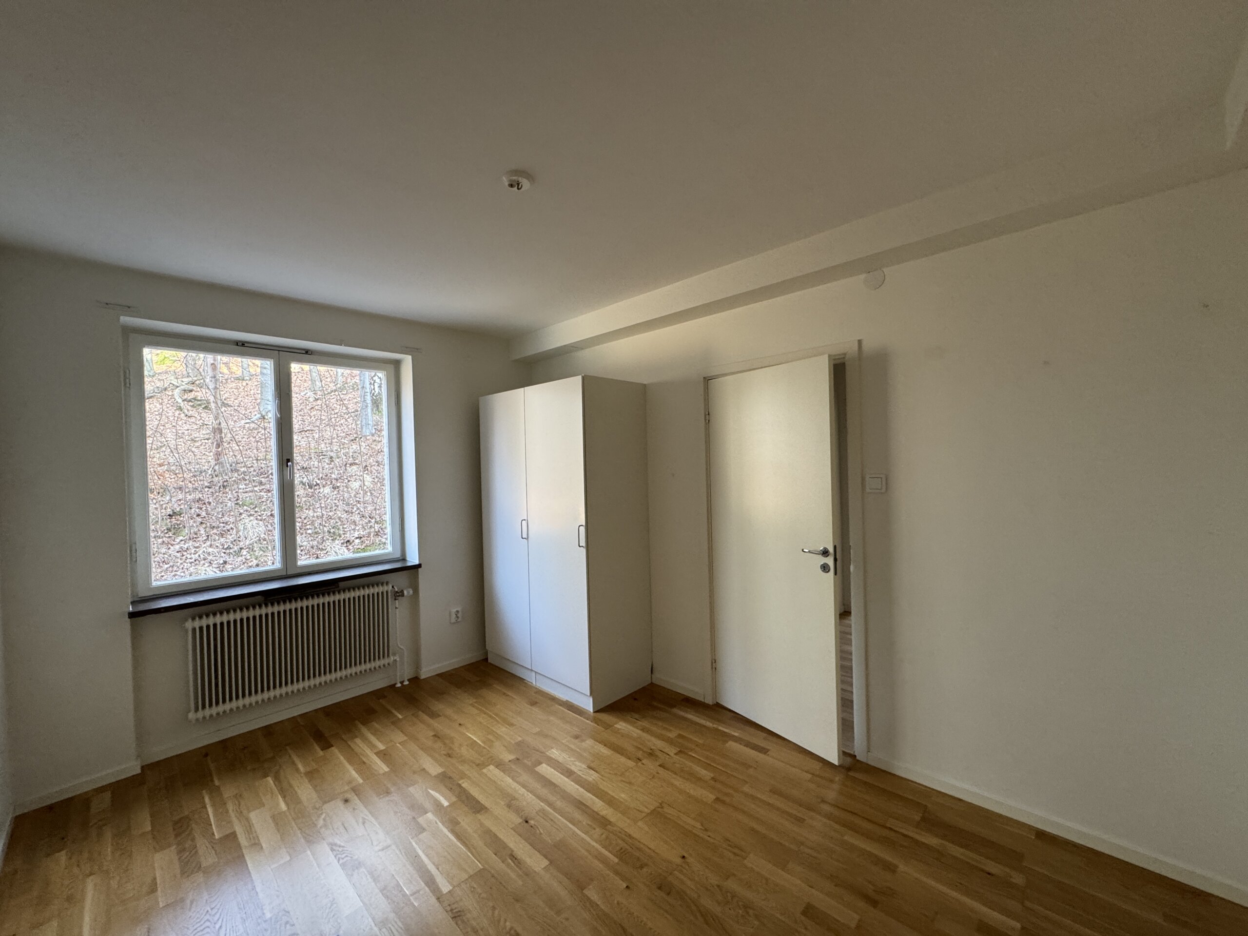 20260309_133353439_iOS