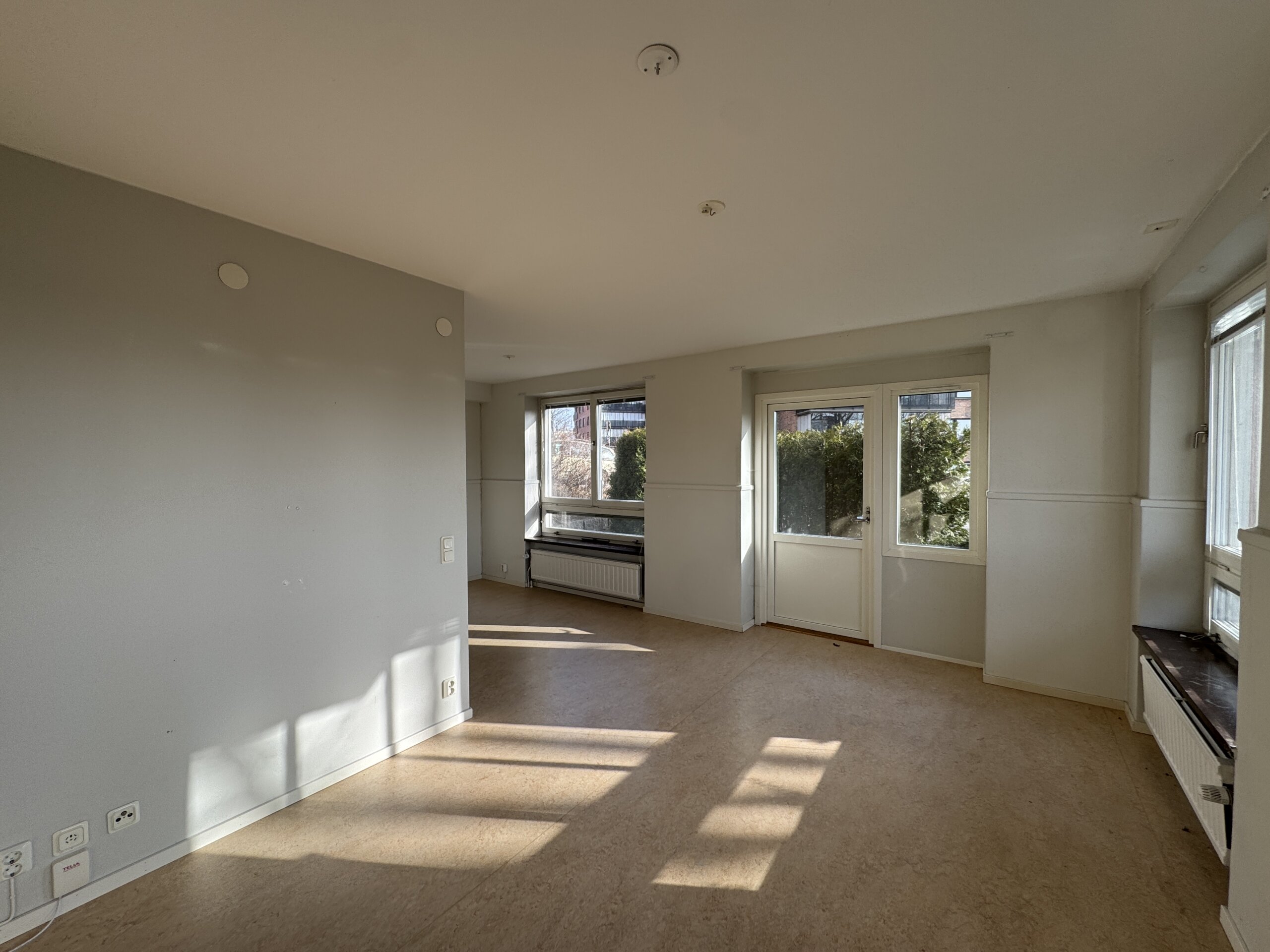 20260309_133907806_iOS