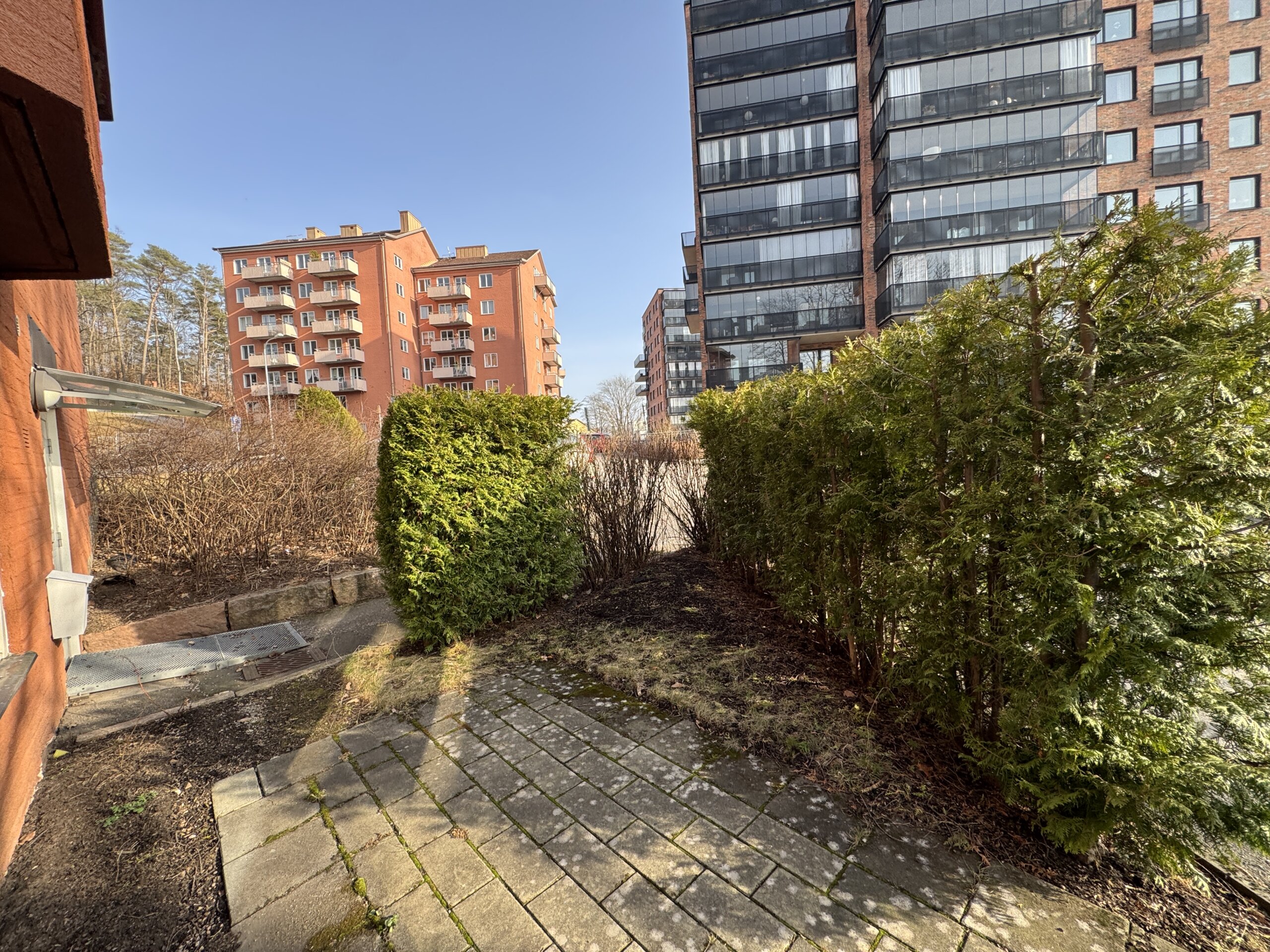 20260309_133927656_iOS