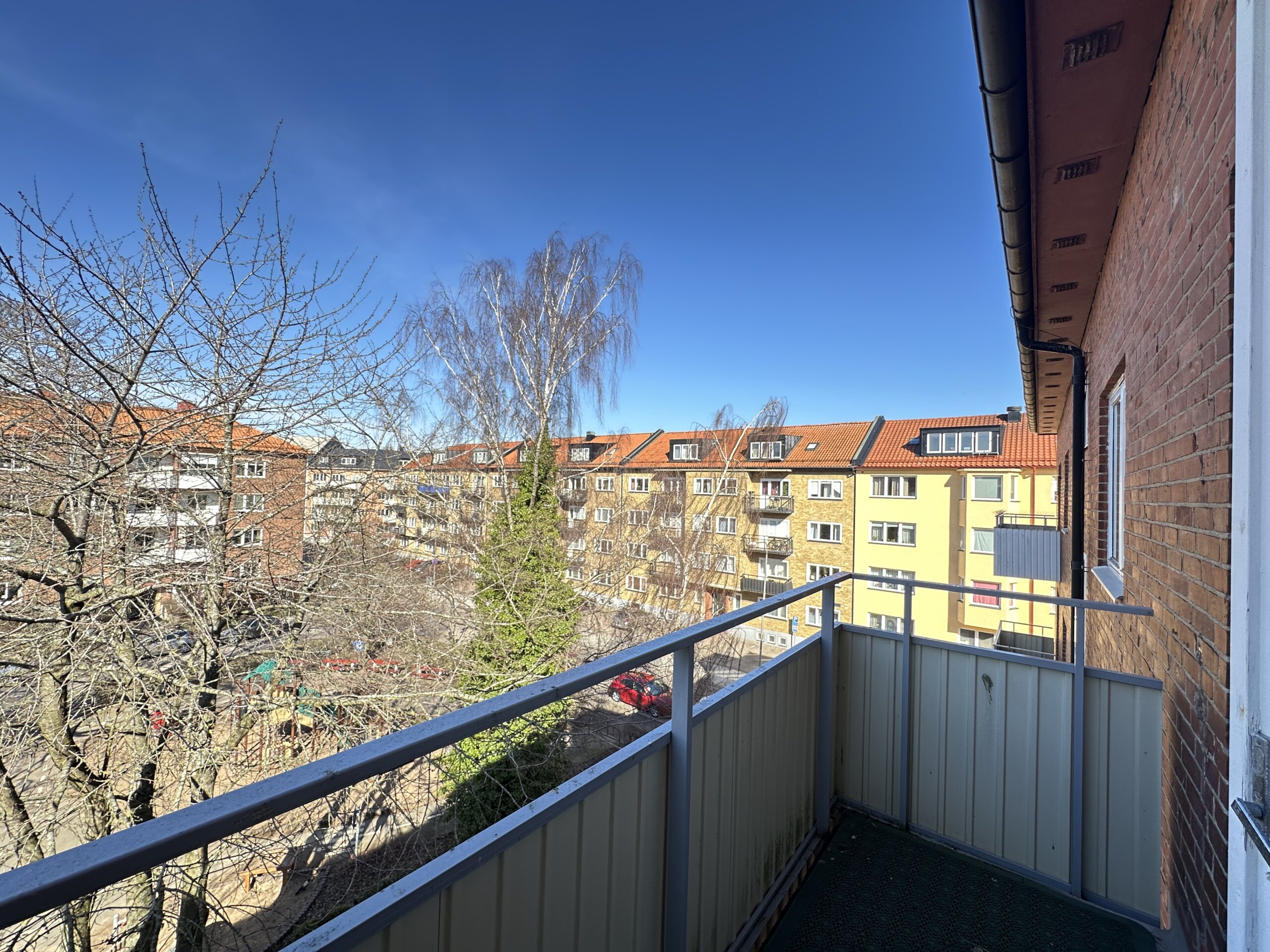 20260318_122529639_iOS