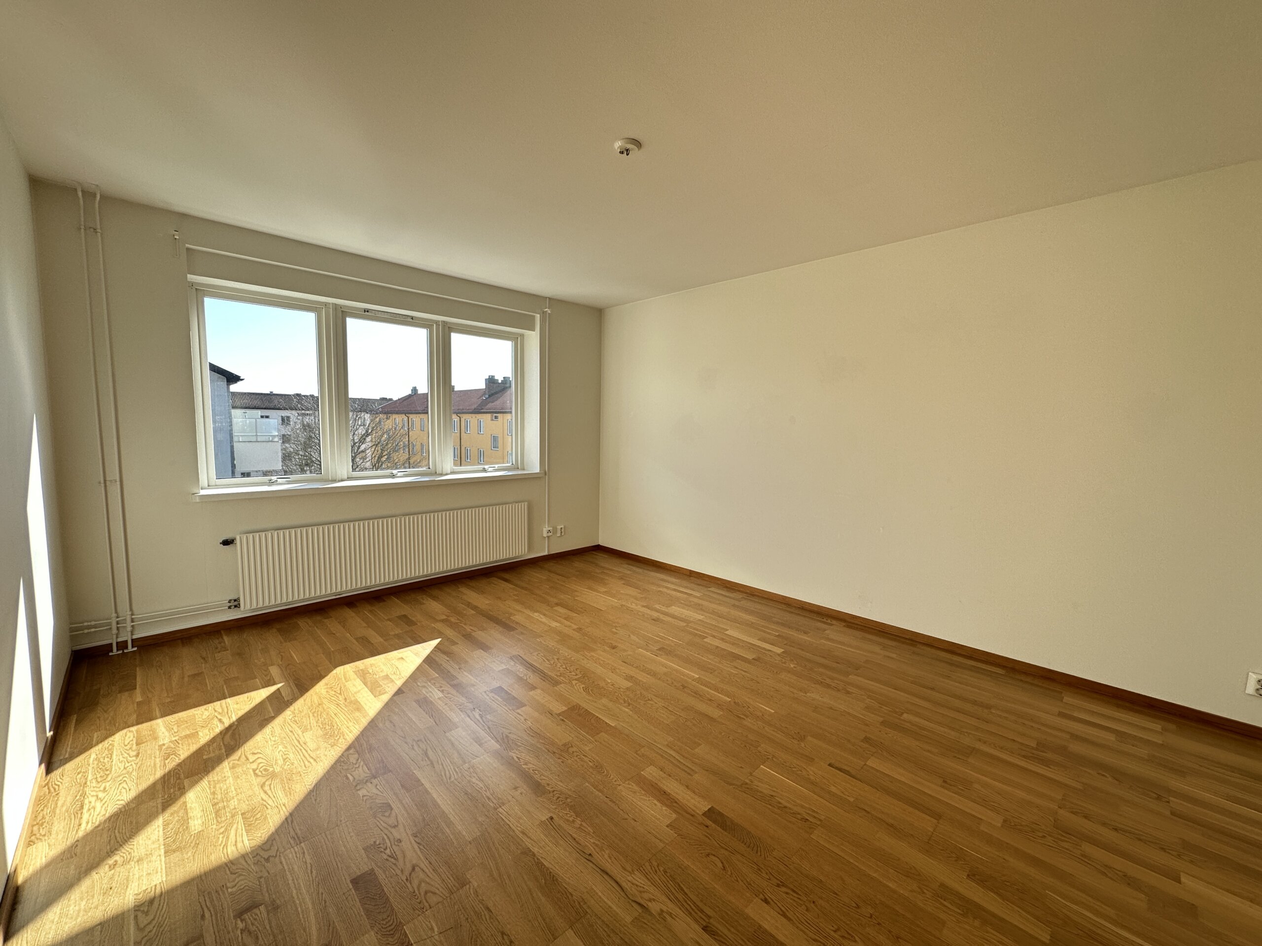 20260318_122704223_iOS