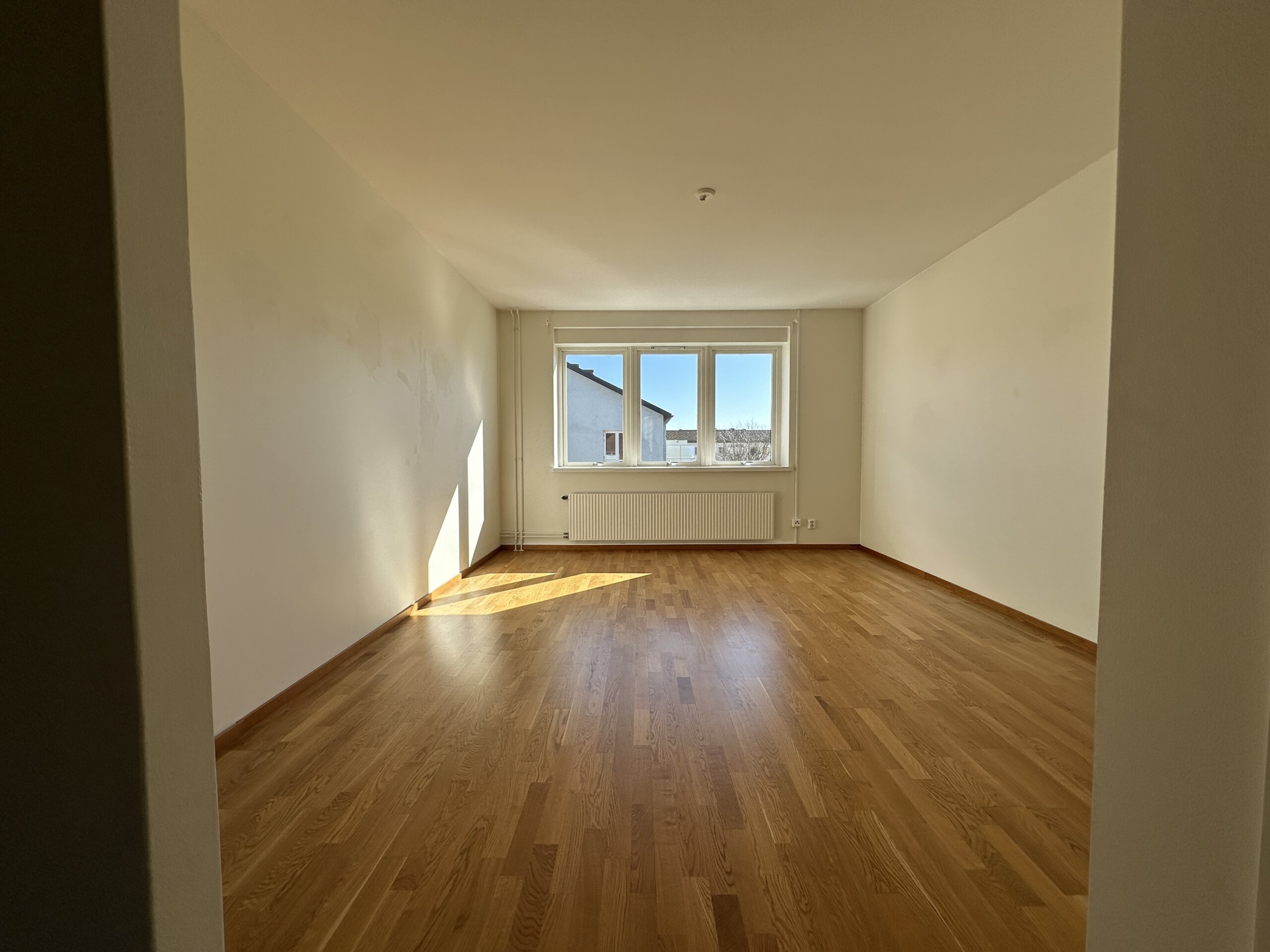 20260318_122843566_iOS