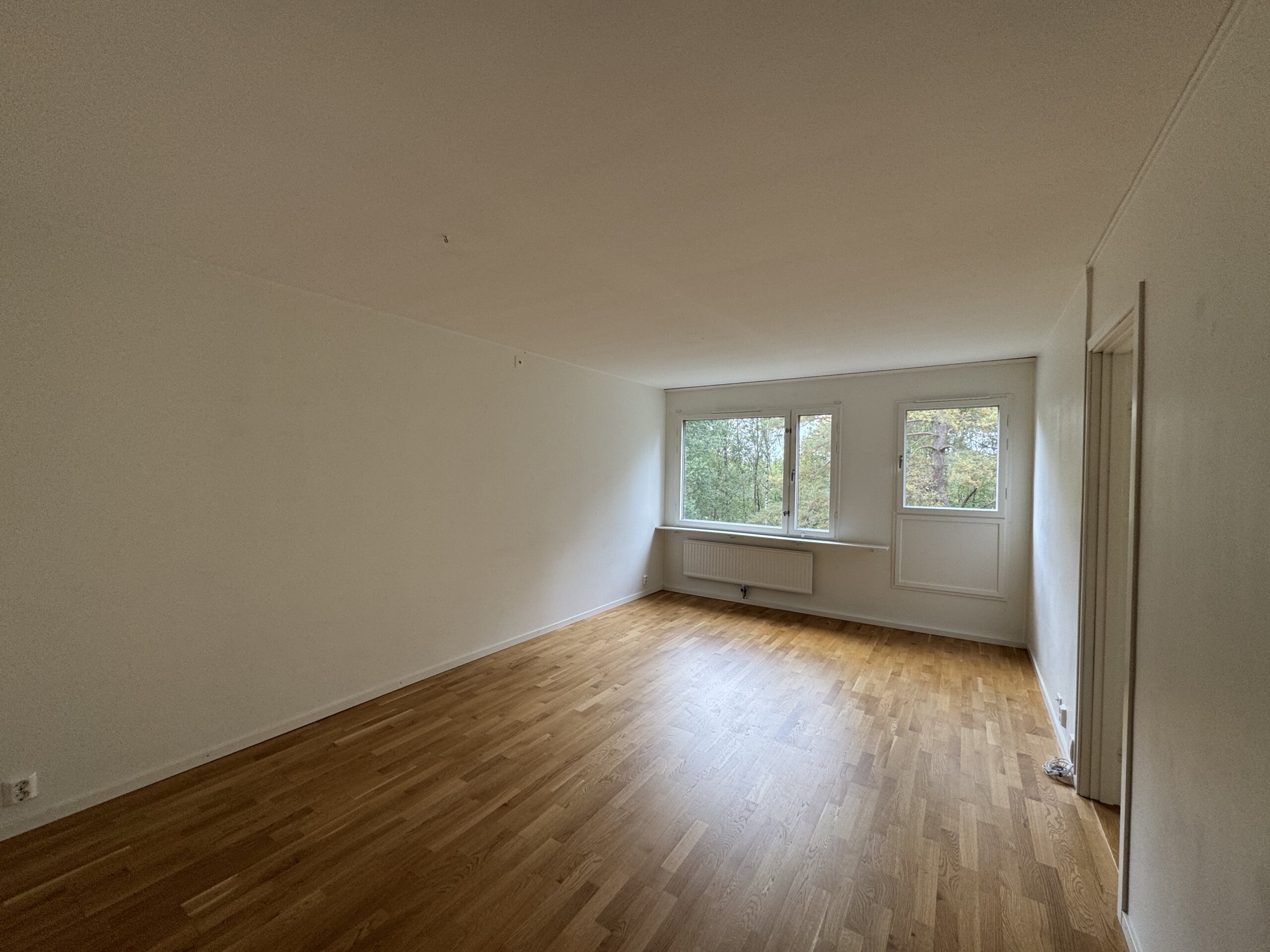 20250918_115244812_iOS