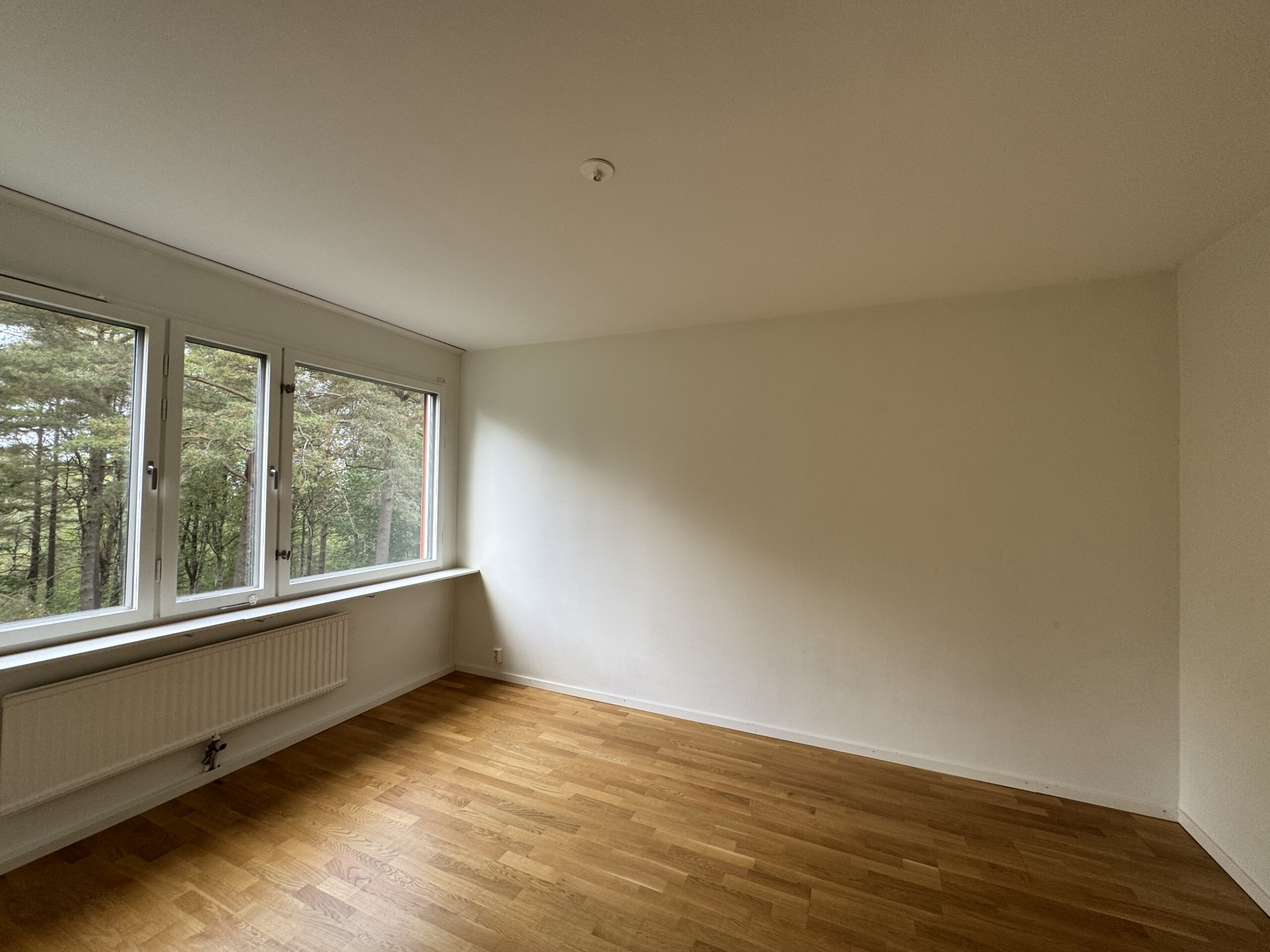 20250918_115252198_iOS