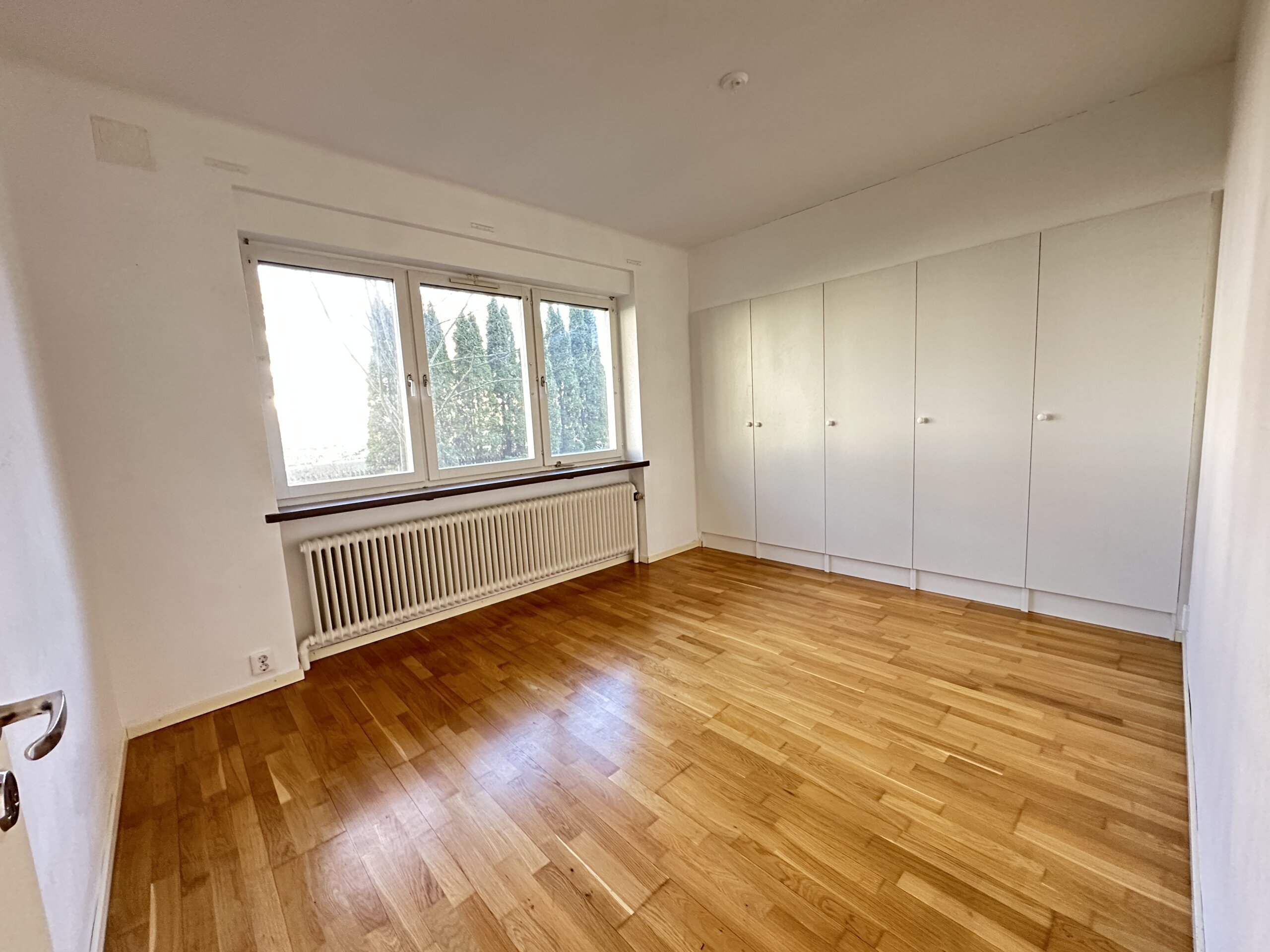 20260409_072437962_iOS