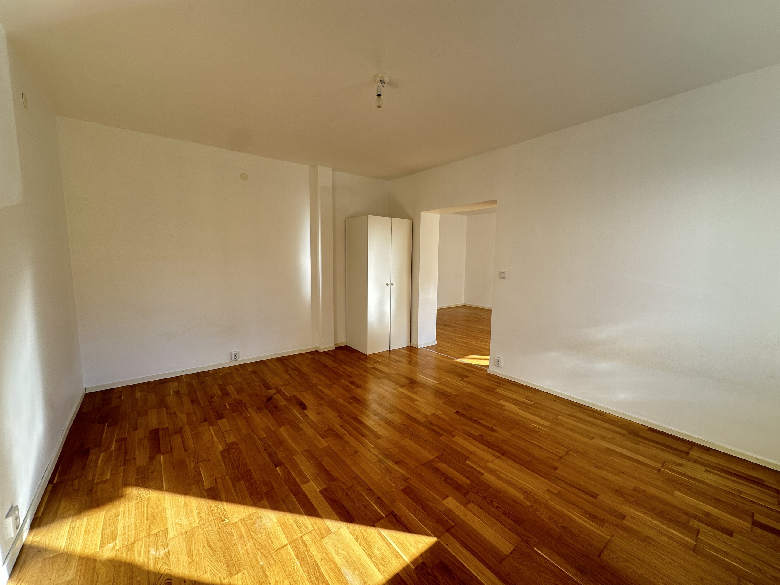 20260409_072513541_iOS