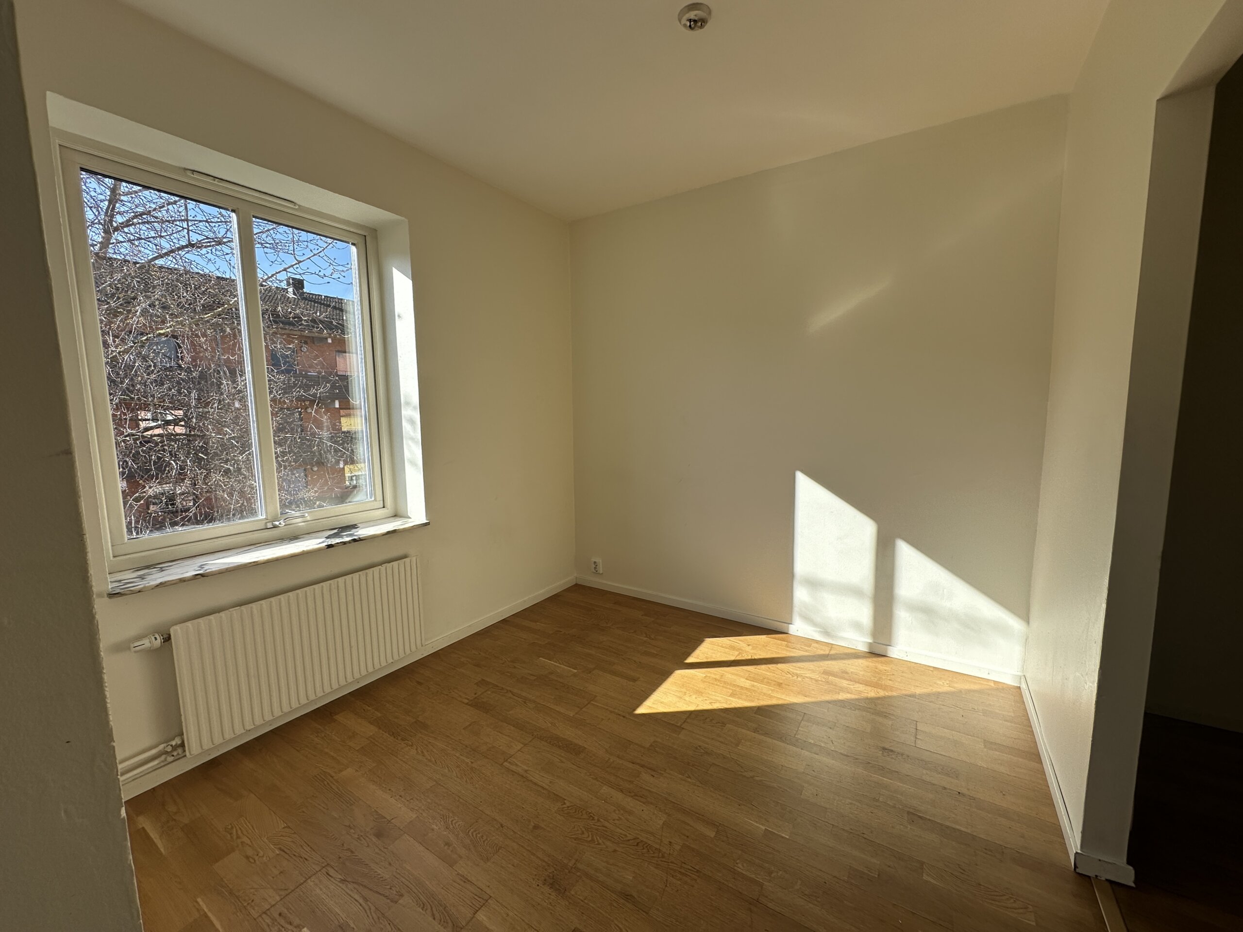 20260409_073856231_iOS