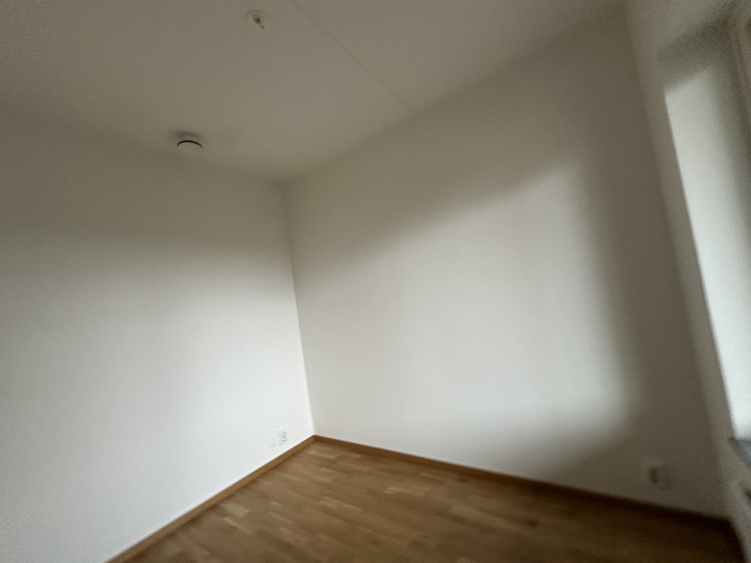 20260413_063746844_iOS