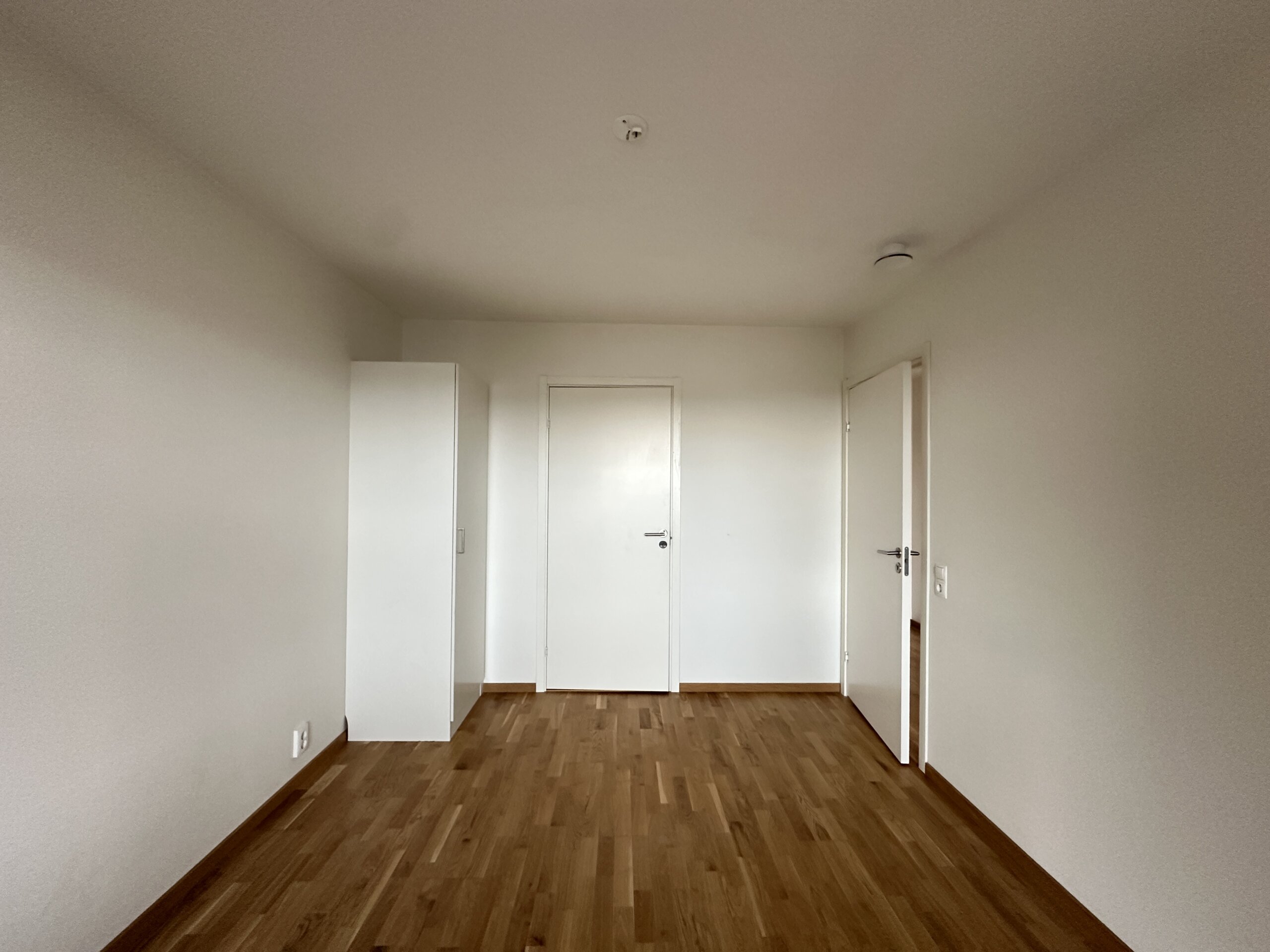 20260413_064635729_iOS