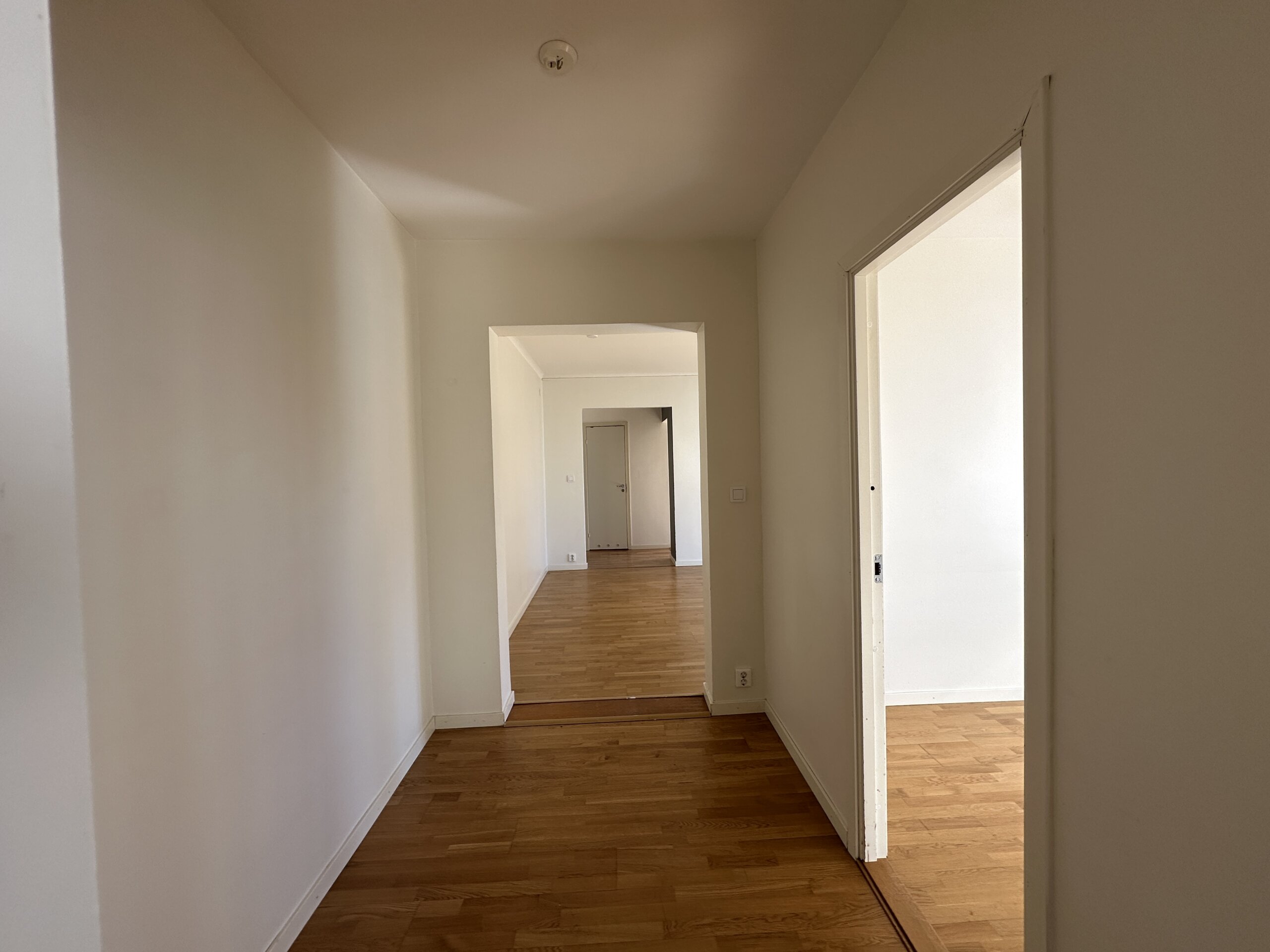 20260421_074535985_iOS