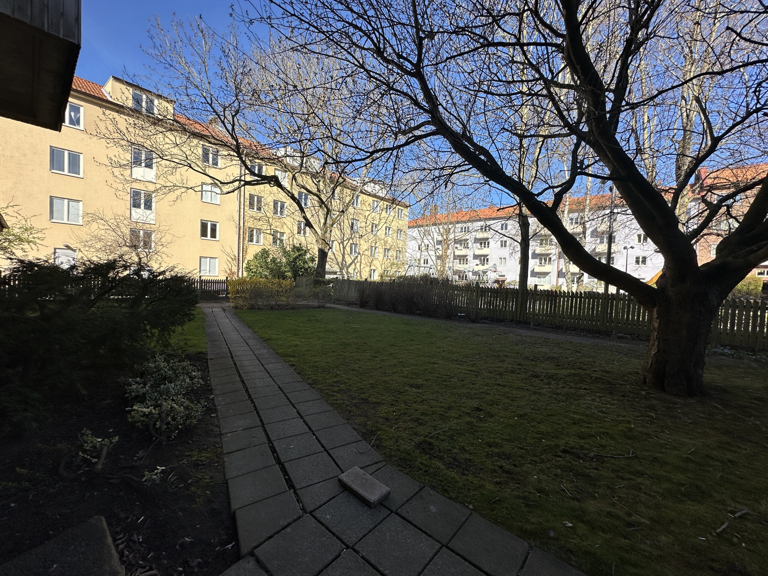 20260421_075039473_iOS