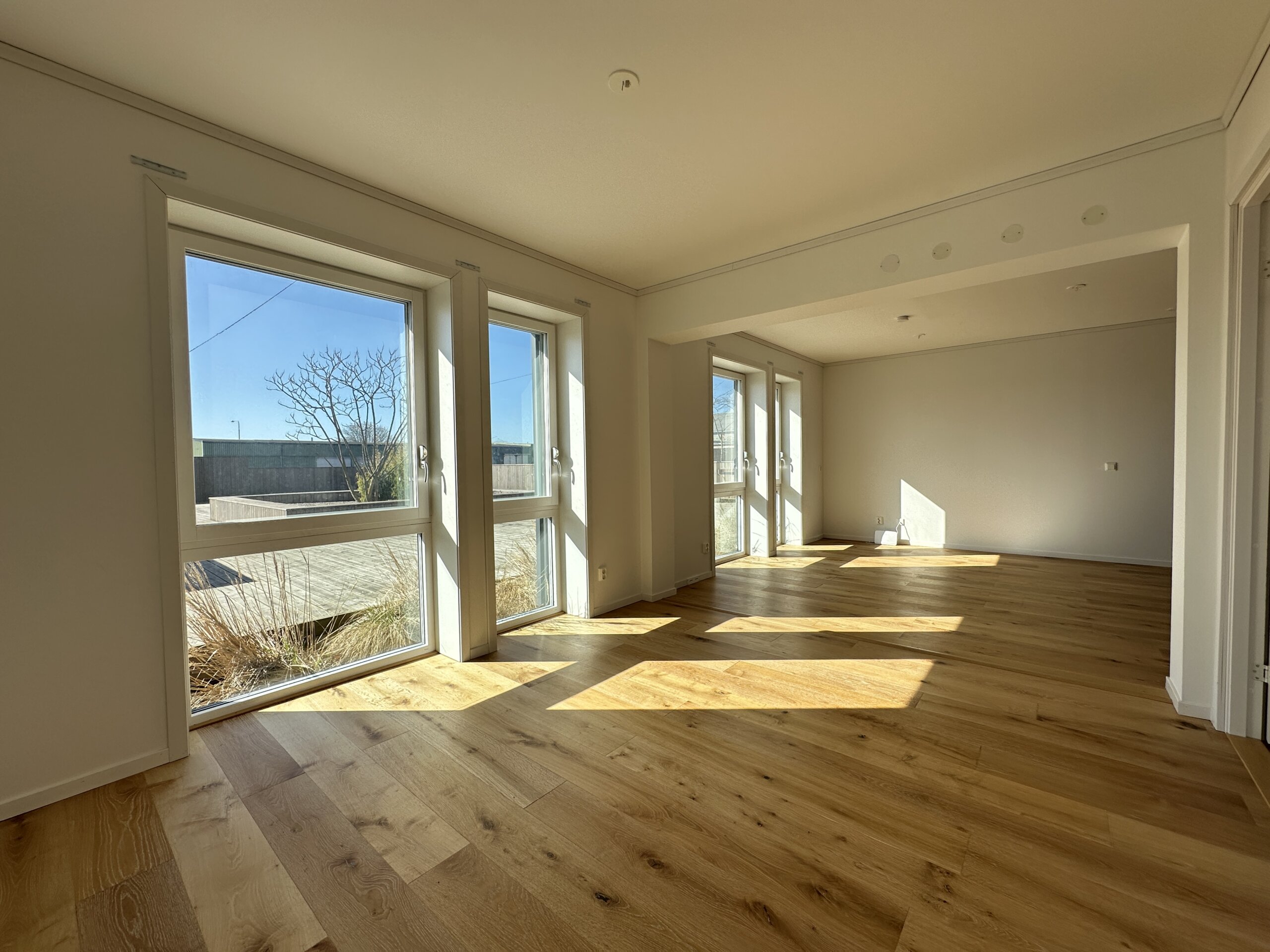 20260422_075106234_iOS