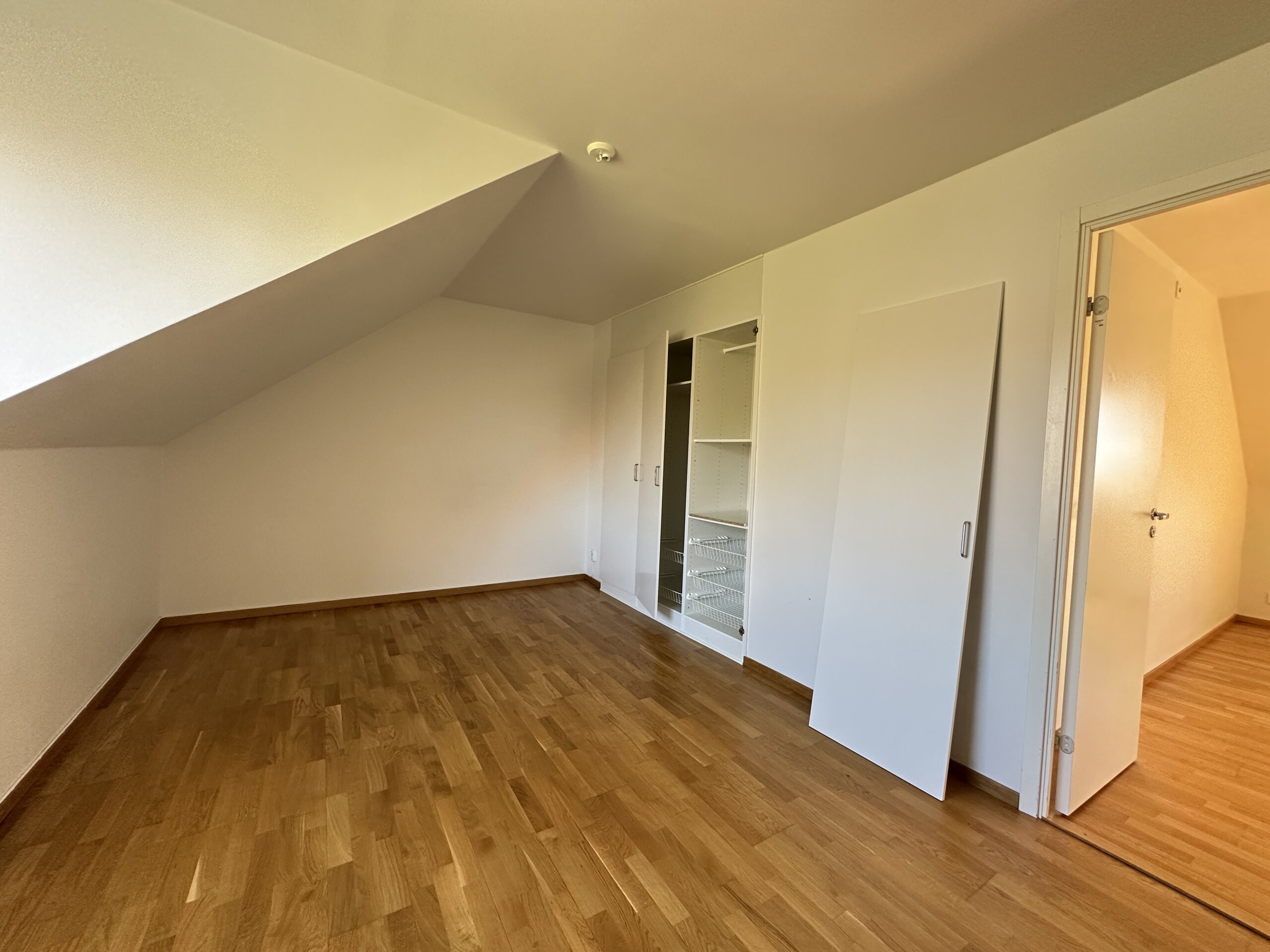 20260423_105639055_iOS