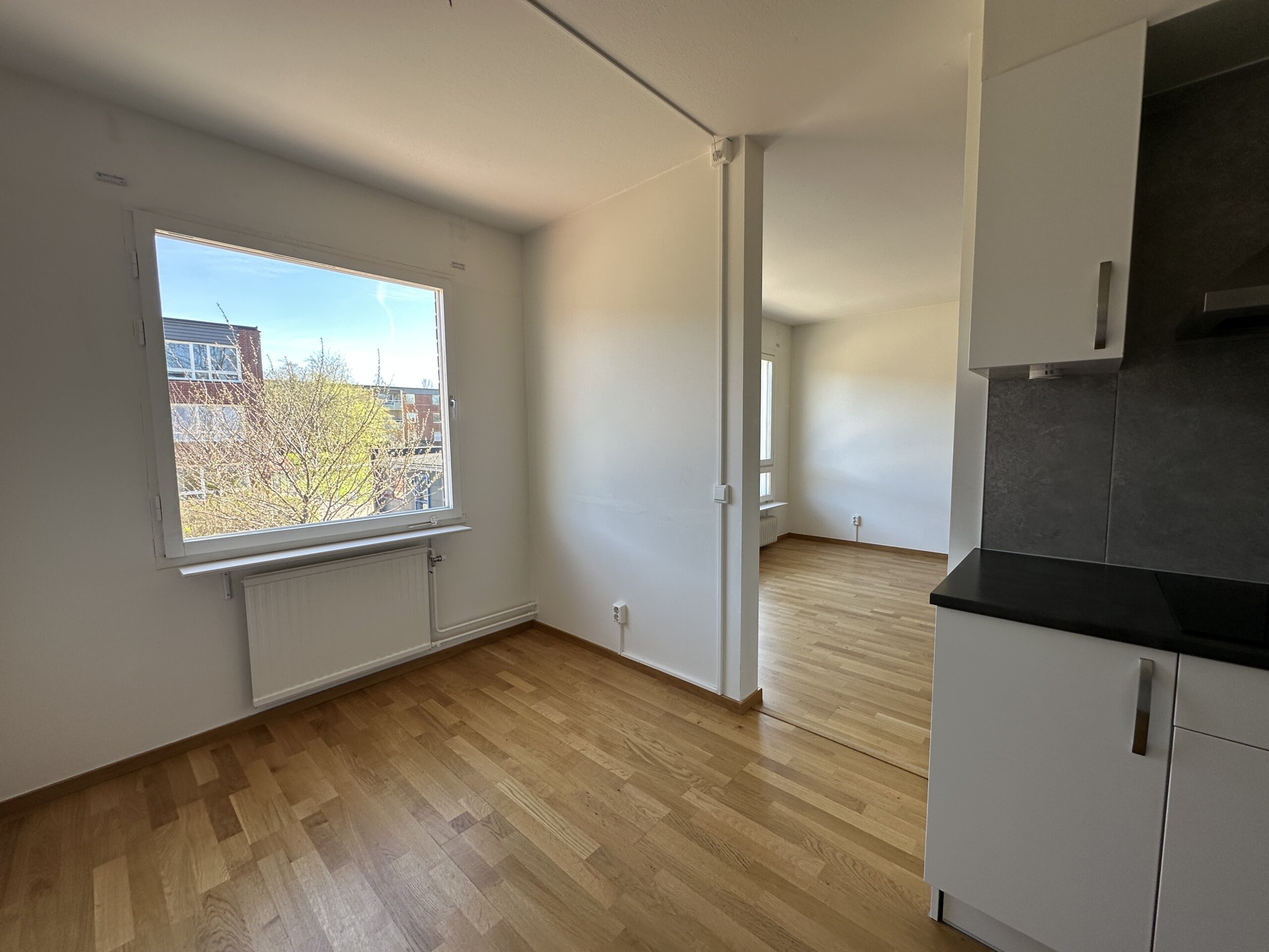 20260423_111607031_iOS